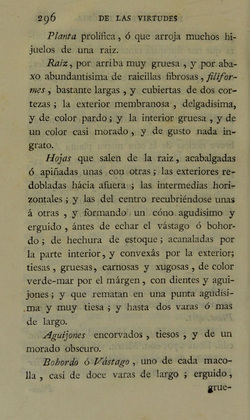 Planta prolífica, ó que arroja muchos hi- juelos de una raiz. Raíz, por arriba muy gruesa , y por aba- xo abundantísima de raicillas fibrosas, filifor- mes , bastante largas , y cubiertas de dos cor- tezas ; la exterior membranosa , delgadísima, y de color pardo; y la interior gruesa , y de un color casi morado , y de gusto nada in- grato. Hojas que salen de la raiz, acabalgadas ó apiñadas unas con otras; las exteriores re- dobladas hácia afuera ; las intermedias hori- zontales ; y las del centro recubriéndose unas á otras , y formando un cono agudísimo y erguido , ántes de echar el vástago ó bohor- do ; de hechura de estoque; acanaladas por la parte interior, y convexás por la exterior; tiesas , gruesas, carnosas y xugosas , de color verde-mar por el margen , con dientes y agui- jones ; y que rematan en una punta agudísi- ma y muy tiesa ; y hasta dos varas ó mas de largo. Aguijones encorvados , tiesos , y de un morado obscuro. Bohordo ó Vástago , uno de cada maco- lla , casi de doce varas de largo ; erguido, grue-