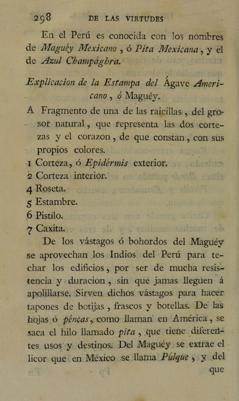 En el Perú es conocida con los nombres de Maguey Mexicano , ó Pita Mexicana, y el de Azul Champághra. Explicación de la Estampa del Agave Ameri- cano , 6 Maguéy. A Fragmento de una de las raicillas , del gro- sor natural, que representa las dos corte- zas y el corazón, de que constan, con sus propios colores. 1 Corteza, ó Epidermis exterior. 2 Corteza interior. 4 Roseta. 5 Estambre. 6 Pistilo. 7 Caxita. De los vastagos ó bohordos del Maguéy se aprovechan los Indios del Perú para te- char los edificios, por ser de mucha resis- tencia y duración , sin que jamas lleguen á apolillarse. Sirven dichos vástagos para hacer tapones de botijas , frascos y botellas. De las hojas ó pencas, como llaman en América, se saca el hilo llamado pita , que tiene difereii- tes usos y destinos. Del Maguéy se extrae el licor que en México se llama Pulque > y del - , i que