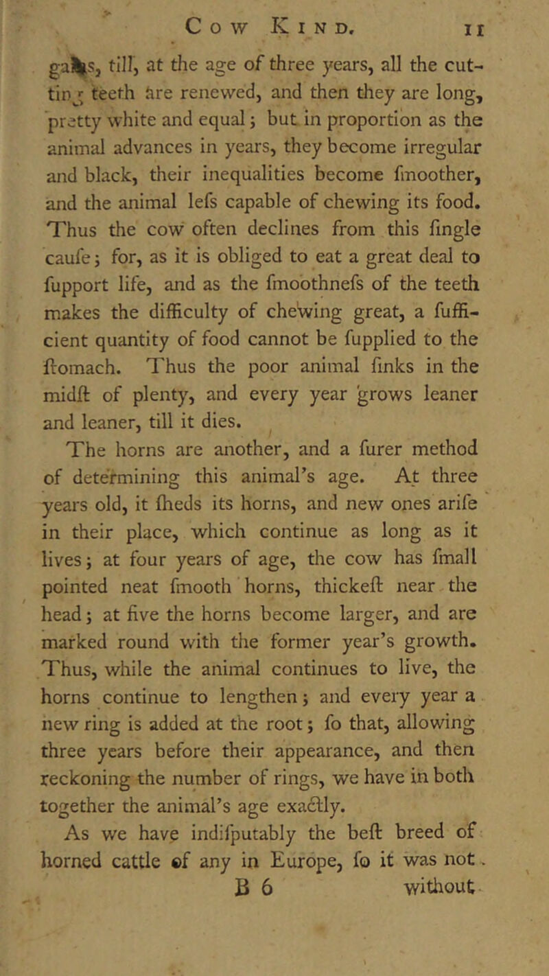 CowKind. ir gal^s, till, at the age of three years, all the cut- ting teeth are renewed, and then they are long, pretty white and equal; but in proportion as the animal advances in years, they become irregular and black, their inequalities become fmoother, and the animal lefs capable of chewing its food. Thus the cow often declines from this fingle caufe; for, as it is obliged to eat a great deal to fupport life, and as the fmobthnefs of the teeth makes the difficulty of chewing great, a fuffi- cient quantity of food cannot be fupplied to the ftomach. Thus the poor animal finks in the midft of plenty, and every year grows leaner and leaner, till it dies. The horns are another, and a furer method of determining this animal’s age. At three years old, it (beds its horns, and new ones arife in their place, which continue as long as it lives; at four years of age, the cow has fmall pointed neat fmooth horns, thickefi: near the head; at five the horns become larger, and are marked round with the former year’s growth. Thus, while the animal continues to live, the horns continue to lengthen; and every year a new ring is added at the root; fo that, allowing three years before their appearance, and then reckoning the number of rings, we have in both together the animal’s age exactly. As we hav? indifputably the beft breed of horned cattle ®f any in Europe, fo it was not, B 6 without