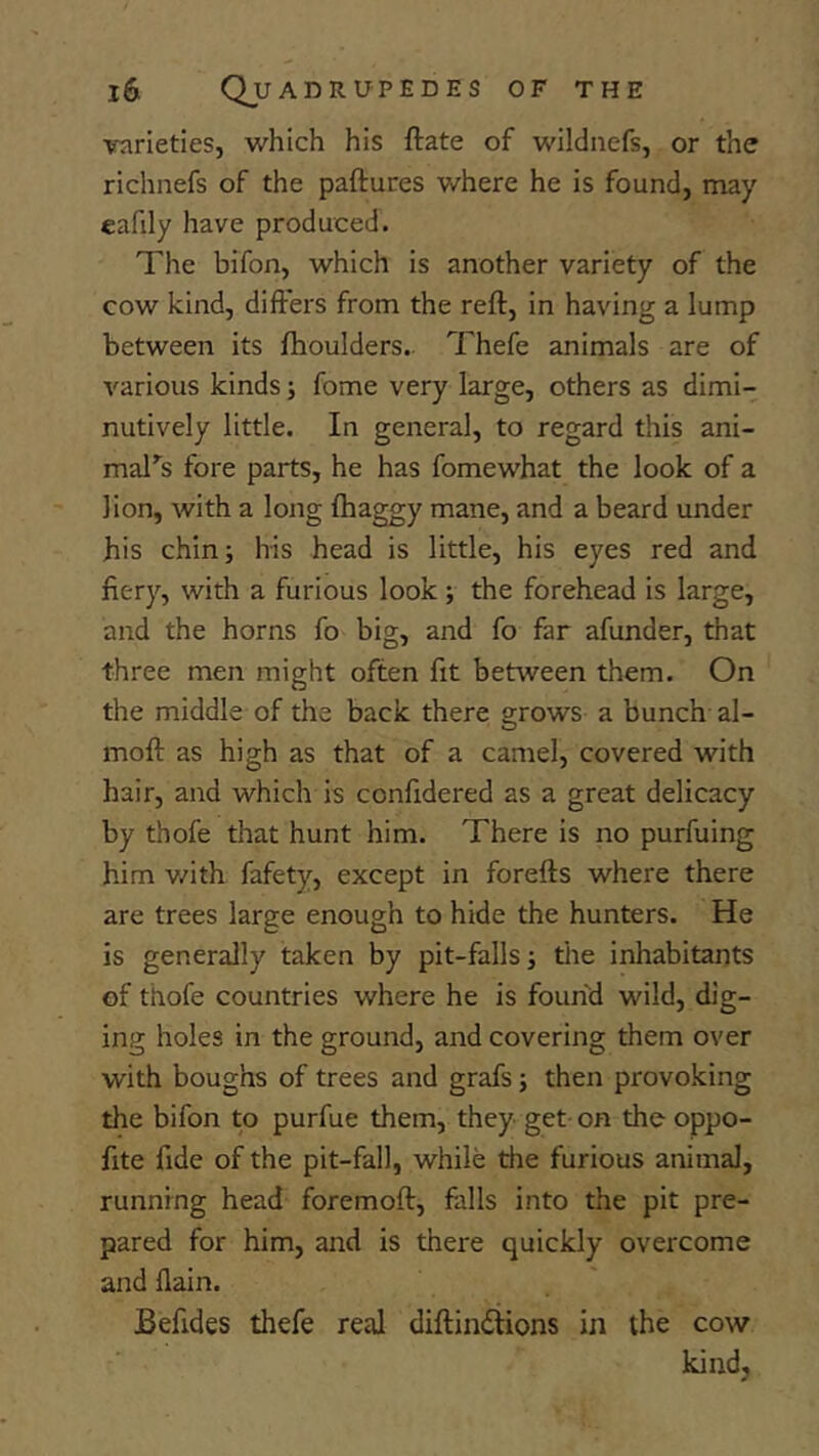 ■varieties, which his ftate of wildnefs, or the richiiefs of the paftures where he is found, may eafily have produced. The bifon, which is another variety of the cow kind, differs from the reft, in having a lump between its ftioulders.. 7Tefe animals are of various kinds j fome very large, others as dimi- nutively little. In general, to regard this ani- mal^s fore parts, he has fomewhat the look of a lion, with a long fhaggy mane, and a beard under his chin; his head is little, his eyes red and fiery, with a furious look j the forehead is large, and the horns fo big, and fo far afunder, that three men might often fit between them. On the middle of the back there grows a bunch al- moft as high as that of a camel, covered with hair, and which is confidered as a great delicacy by thofe that hunt him. There is no purfuing him v/ith fafety, except in forefts where there are trees large enough to hide the hunters. He is generally taken by pit-falls; tlie inhabitants of thofe countries where he is found wild, dig- ing holes in the ground, and covering them over with boughs of trees and grafs; then provoking the bifon to purfue them, they get on theoppo- fite fide of the pit-fall, while the furious animal, running head foremoft, falls into the pit pre- pared for him, and is there quickly overcome and flain. Befides thefe real diftindiions in the cow kind.