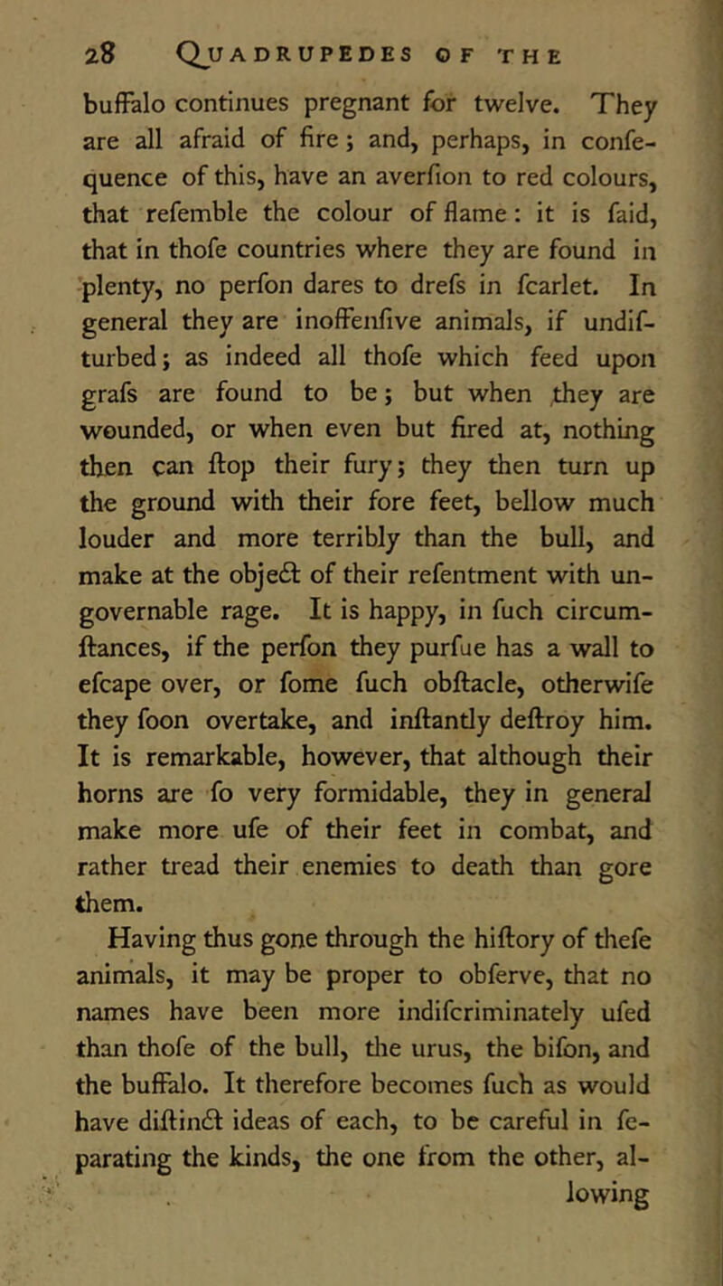 bufFalo continues pregnant for twelve. They are all afraid of fire; and, perhaps, in confe- quence of this, have an averfion to red colours, that refemble the colour of flame: it is faid, that in thofe countries where they are found in 'plenty, no perfon dares to drefs in fcarlet. In general they are inoffenfive animals, if undif- turbed; as indeed all thofe which feed upon grafs are found to be; but when they are wounded, or when even but fired at, nothing then can ftop their fury; they then turn up the ground with their fore feet, bellow much louder and more terribly than the bull, and make at the obje£l of their refentment with un- governable rage. It is happy, in fuch circum- ftances, if the perfon they purfue has a wall to efcape over, or fome fuch obftacle, otherwife they foon overtake, and inftantly deftroy him. It is remarkable, however, that although their horns are fo very formidable, they in general make more ufe of their feet in combat, and rather tread their enemies to death than gore them. Having thus gone through the hiftory of thefe animals, it may be proper to obferve, that no names have been more indifcriminately ufed than thofe of the bull, tlie urus, the bifon, and the buffalo. It therefore becomes fuch as would have diftindl ideas of each, to be careful in fe- parating the kinds, the one from the other, al- lowing