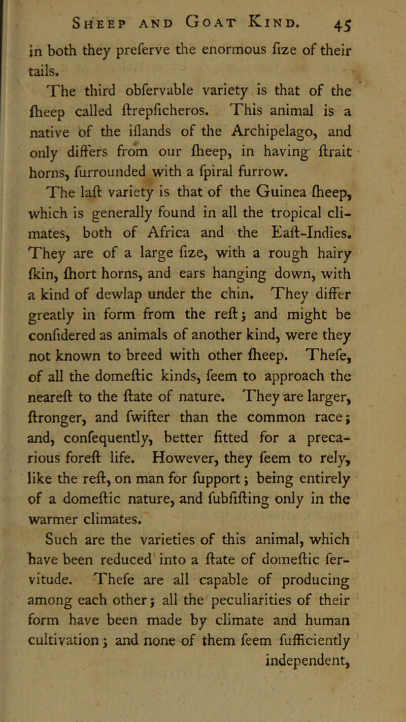 in both they preferve the enormous fize of their tails. The third obfervable variety is that of the ftieep called ftrepficheros. This animal is a native of the iflands of the Archipelago, and only differs from our fheep, in having ftrait horns, furrounded with a fpiral furrow. The laft variety is that of the Guinea fheep, which is generally found in all the tropical cli- mates, both of Africa and the Eaft-Indies. They are of a large fize, with a rough hairy fkin, fhort horns, and ears hanging down, with a kind of dewlap under the chin. They differ greatly in form from the reftj and might be confidered as animals of another kind, were they not known to breed with other fheep. Thefe, of all the domeftic kinds, feem to approach the neareft to the ftate of nature. They are larger, ftronger, and fwifter than the common racej and, confequently, better fitted for a preca- rious foreft life. However, they feem to rely, like the reft, on man for fupport} being entirely of a domeftic nature, and fubfifting only in the warmer climates. Such are the varieties of this animal, which have been reduced' into a ftate of domeftic fer- vitude. Thefe are all capable of producing among each other j all the peculiarities of their form have been made by climate and human cultivation j and none of them feem fufficiently independent,