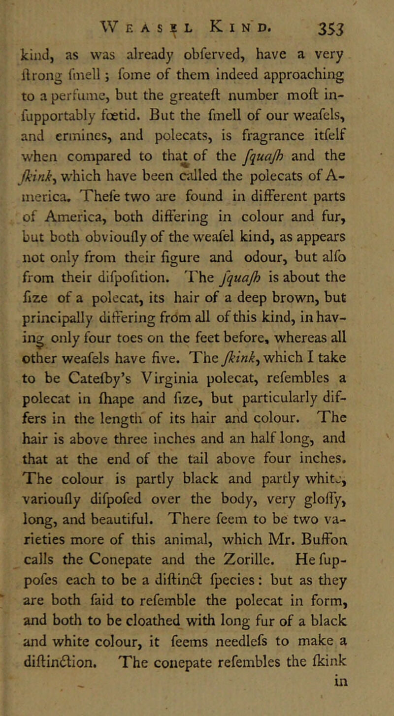 kind, as was already obferved, have a very idrong fmell; fome of them indeed approaching to a perfume, but the greateft number moft in- fupportably foetid. But the fmell of our weafels, and ermines, and polecats, is fragrance itfelf when compared to tha^of the fquajh and the fkink.^ w’hich have been called the polecats of A- inerica. Thefe two are found in different parts of America, both differing in colour and fur, but both obviouflyof the weafel kind, as appears not only from their figure and odour, but alfo from their difpofition. The fquajh is about the fize of a polecat, its hair of a deep brown, but principally differing from all of this kind, in hav- ing only four toes on the feet before, whereas all other weafels have five. The Jkink^ which I take to be Catelby’s Virginia polecat, refembles a polecat in fliape and fize, but particularly dif- fers in the length of its hair and colour. The hair is above three inches and an half long, and that at the end of the tail above four inches. The colour is partly black and pai'tly white, varioufly difpofed over the body, very gloffy, long, and beautiful. There feem to be two va- rieties more of this animal, which Mr. Buffon calls the Conepate and the Zorille. He fup- pofes each to be a diftindl fpecies: but as they are both faid to refemble the polecat in form, and both to be cloathed with long fur of a black and white colour, it feems needlefs to make a diflindlion. The conepate refembles the fkink in