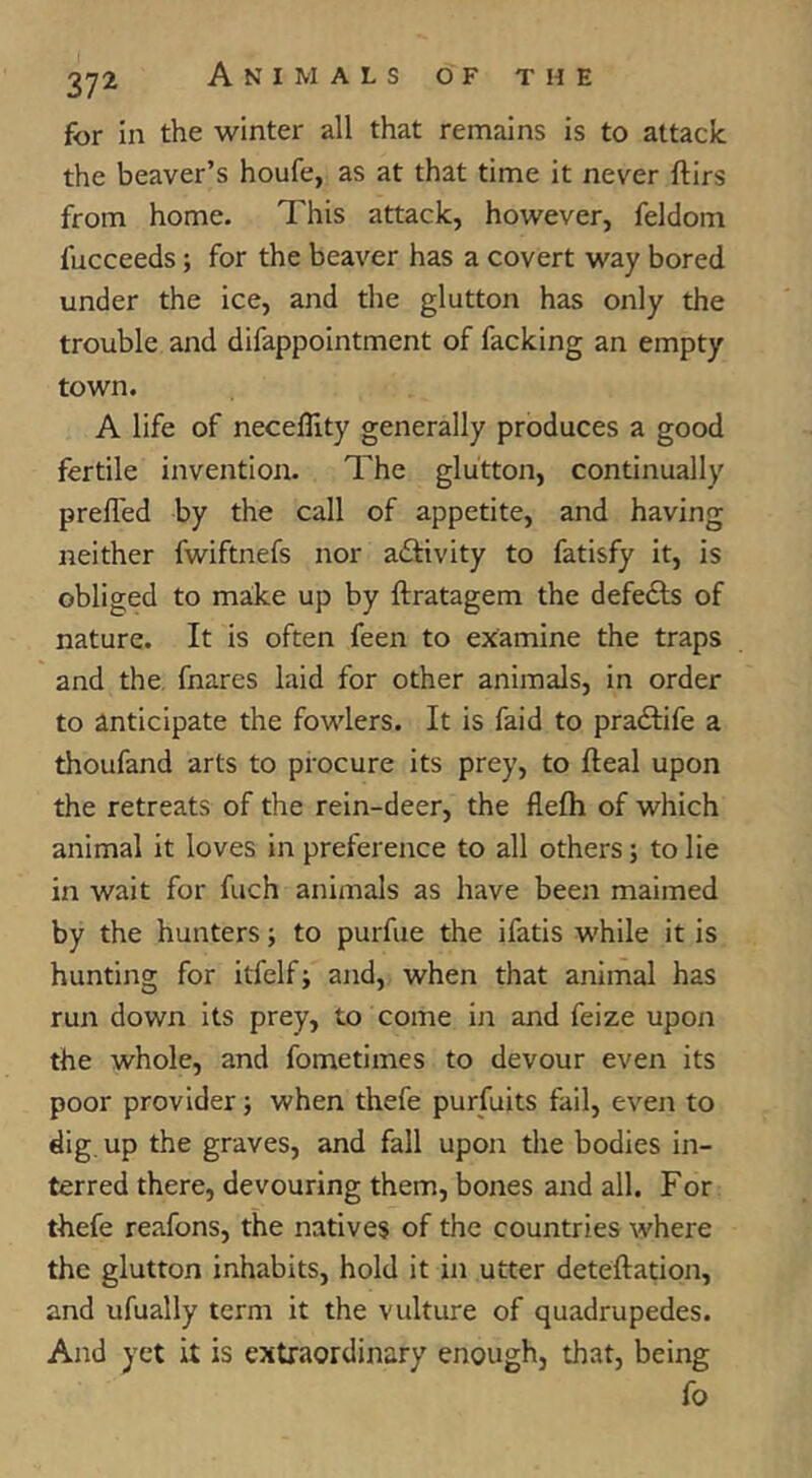 for in the winter all that remains is to attack the beaver’s houfe, as at that time it never ftirs from home. This attack, however, feldom fucceeds; for the beaver has a covert way bored under the ice, and the glutton has only the trouble and difappointment of facking an empty town. A life of necellity generally produces a good fertile invention. The glutton, continually prefled by the call of appetite, and having neither fwiftnefs nor aftivity to fatisfy it, is obliged to make up by ftratagem the defedls of nature. It is often feen to examine the traps and the. fnares laid for other animals, in order to anticipate the fowlers. It is faid to pradlife a thoufand arts to procure its prey, to fteal upon the retreats of the rein-deer, the flefh of which animal it loves in preference to all others; to lie in wait for fuch animals as have been maimed by the hunters; to purfue the ifatis while it is hunting for itfelf; and, when that animal has run down its prey, to come in and feize upon the whole, and fometimes to devour even its poor provider; when thefe purfuits fail, even to dig, up the graves, and fall upon the bodies in- terred there, devouring them, bones and all. For thefe reafons, the natives of the countries where the glutton inhabits, hold it in utter deteftation, and ufually term it the vulture of quadrupedes. And yet it is extraordinary enough, that, being fo