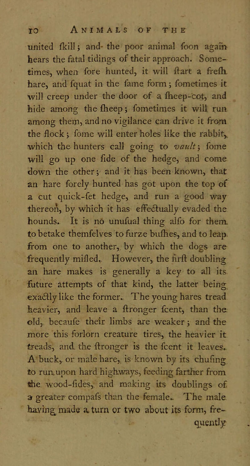 united (kill; and- the poor animal foon agam hears the fatal tidings of their approach. Some- times, when fore hunted, it will ftart a frelk hare, and fquat in the fame form; fometimes it will creep under the door of a fheep-cot, and hide among the £heep; fometimes it will run among them, and no vigilance can drive it from the flock y fome will enter holes like the rabbit, which the hunters call going to vault •, fome will go up one fide of the hedge, and come down the other; and it has been known, that an hare forely hunted has got upon the top of a cut quick-fet hedge, and run a good way thereon, by which it has efFeftually evaded the hounds. It is no unufual thing alfo for them, to betake themfelves to furze bulhes, and to leap, from one to another, by which the dogs are frequently mifled. However, the hrft doubling an hare makes is generally a key to all its future attempts of that kind, the latter being exadlly like the former. The young hares tread heavier, and leave a ftronger fcent, than the old, becaufe their limbs are weaker; and the more this forlorn creature tires, the heavier it treads, and. the ftronger is the fcent it leaves. A buck,, or male hare,, is known by its chufmg to run,upon hard highways, feeding farther from the wood-fides, and ranking its doublings of a greater compafs than the female.. The male ha.ving_ made a. turn or two about its form, fre- quently