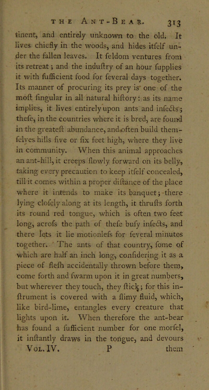 tincnt, and entirely unknown to the old. It lives chiefly in the woods, and hides itfelf un- der the fallen leaves. It feldom ventures from its retreat; and the induftry of an hour fupplies it with fufficient food for feveral days together. Its manner of procuring its prey is’ one of the moft Angular in all natural hiftory: as its name implies, it lives entirely upon ants and infeiSls ; thefe, in the countries where it is bred, are fouitd in the greateft abundance, and^often build them- felyes hills five or fix feet high, where they live in community. When this animal approaches an ant-hill, it creeps flowly forward on its belly, taking every precaution to keep itfelf concealed, till it comes within a proper diftance of the place where it intends to make its banquet j-there lying clofely along at its length, it thrufts forth its round red tongue, which is often two feet long, acrofs the path of thefe bufy infedfs, and there lets it lie motionlefs for feveral minutes together. ' The ants of that country, fome of which are half an inch long, confidering it as a piece of flefh accidentally thrown before them> come forth and fwarm upon it in great numbers, but wherever they touch, they flick; for this in- flrument is covered with a flimy fluid, which, like bird-lime, entangles every creature that lights upon it. When therefore the ant-bear has found a fufficient number for one morfel, it inftantly draws in the tongue, and devours VoL. IV. P them