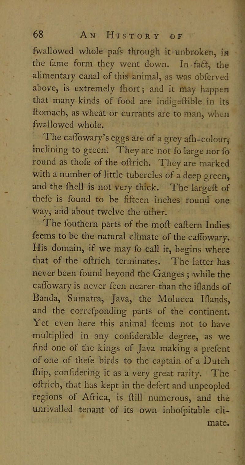 fwallowed whole pafs through it unbroken, in the fame form they went clown. In facrt, the alimentary canal of this animal, as was obferved above, is extremely fhort; and it may happen that many kinds of food are indivertible in its ftomach, as wheat or currants are to mail, when 1 wallowed whole. The cafTowary’s eggs are of a grey arti-colour* inclining to green. They are not fo large nor fo round as thole of the ortrich. They are marked with a number of little tubercles of a deep green, and the fhcll is not very thick. The largeft of thefe is found to be fifteen inches round one way, and about twelve the other. The fouthern parts of the moft eaftern Indies feems to be the natural climate of the callowary. His domain, if we may fo call it, begins where that of the ortrich terminates. The latter has never been found beyond the Ganges ; while the caflowary is never feen nearer than the illands of Banda, Sumatra, Java, the Molucca Illands, and the correfponding parts of the continent. Yet even here this animal feems not to have multiplied in any confiderable degree, as we find one of the kings of Java making a prefent of one of thefe birds to the captain of a Dutch fhip, confidering it as a very great rarity. The ortrich, that has kept in the defert and unpeopled regions of Africa, is ftill numerous, and the unrivalled tenant of its own inhofpitable cli- mate.