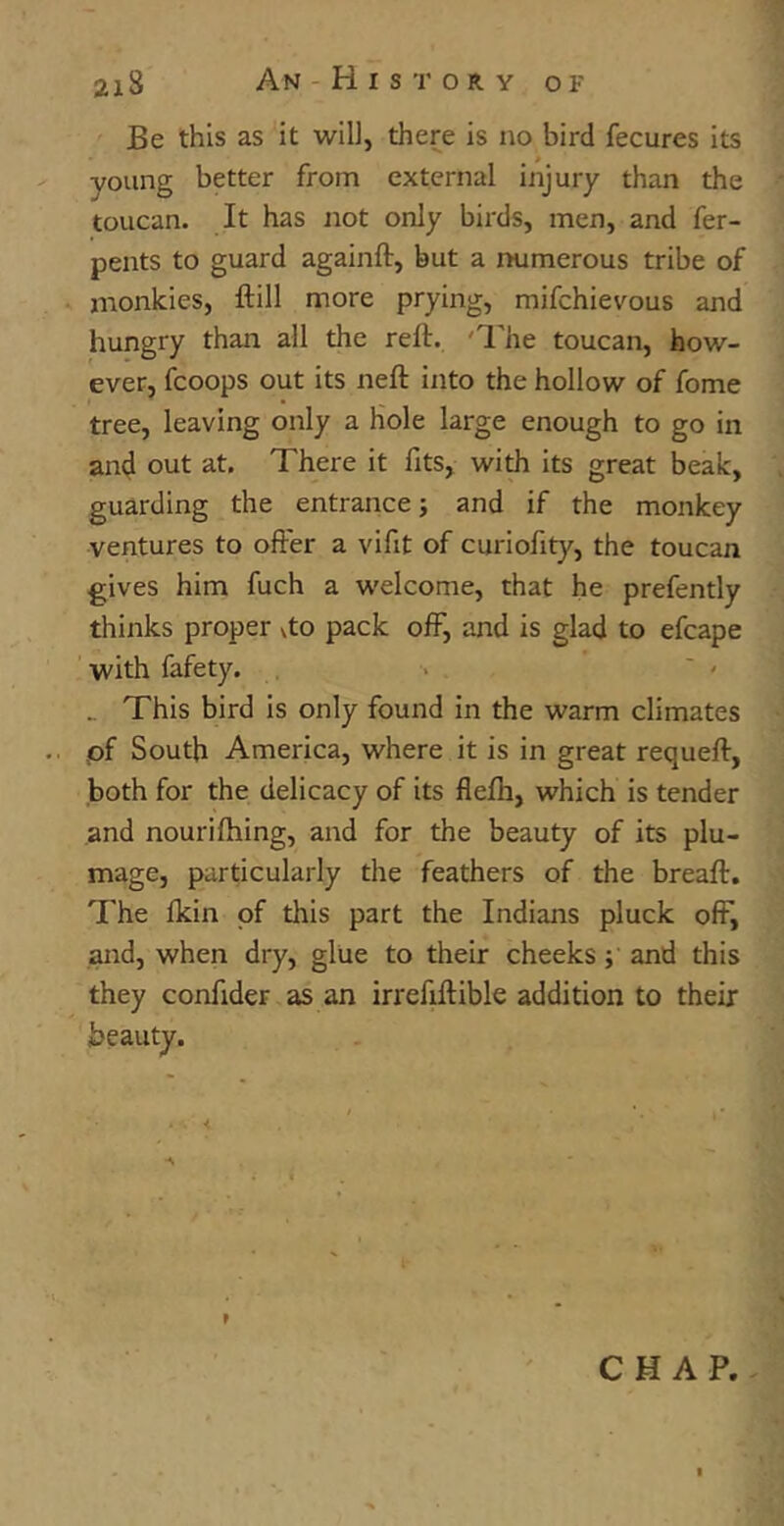 Be this as it will, there is no bird fecures its young better from external injury than the toucan. It has not only birds, men, and fer- pents to guard again!!, but a numerous tribe of monkies, ftill more prying, mifchievous and hungry than all the reft. 'The toucan, how- ever, fcoops out its neft into the hollow of fome tree, leaving only a hole large enough to go in and out at. There it fits, with its great beak, guarding the entrance; and if the monkey ventures to offer a vifft of curioffty, the toucan gives him fuch a welcome, that he prefently thinks proper vto pack off, and is glad to efcape with fafety. ~ * „ This bird is only found in the warm climates of South America, where it is in great requeft, both for the delicacy of its flefh, which is tender and nourifhing, and for the beauty of its plu- mage, particularly the feathers of the breaft. The fkin of this part the Indians pluck off, and, when dry, glue to their cheeks; and this they confider as an irrefiftible addition to their CHAP.