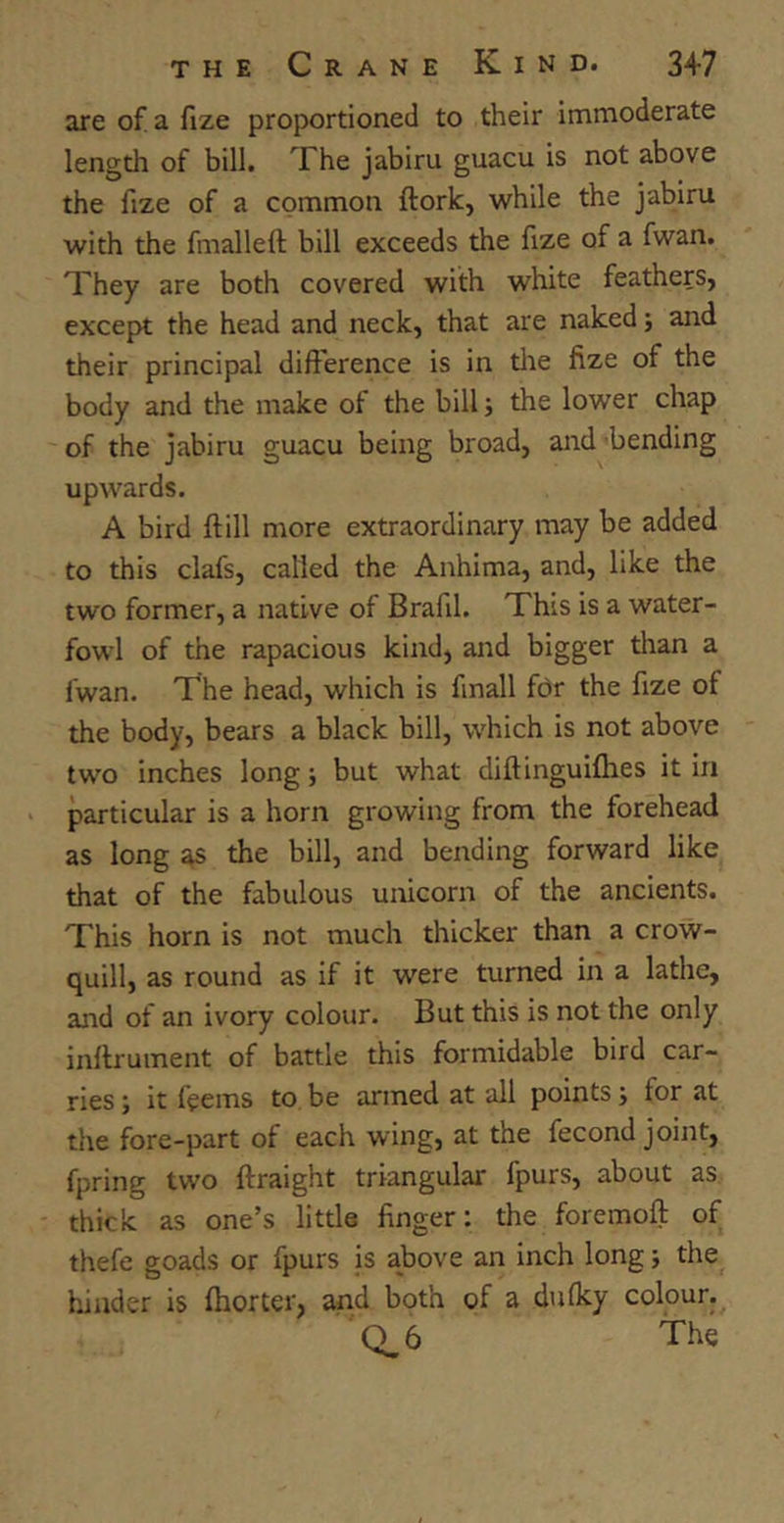 are of a fize proportioned to their immoderate length of bill. The jabiru guacu is not above the fize of a common {fork, while the jabiru with the fmalleft bill exceeds the fize of a fwan. They are both covered with white feathers, except the head and neck, that are naked; and their principal difference is in the fize of the body and the make of the bill; the lower chap of the jabiru guacu being broad, and bending upwards. A bird ftill more extraordinary may be added to this clafs, called the Anhima, and, like the two former, a native of Bralil. This is a water- fowl of the rapacious kind, and bigger than a fwan. The head, which is fmall for the fize ot the body, bears a black bill, which is not above two inches long; but what diftinguifihes it in particular is a horn growing from the forehead as long as the bill, and bending forward like that of the fabulous unicorn of the ancients. This horn is not much thicker than a crow- quill, as round as if it were turned in a lathe, and of an ivory colour. But this is not the only inftrument of battle this formidable bird car- ries ; it feems to be armed at all points; for at the fore-part of each wing, at the fecond joint, fpring two ftraight triangular fpurs, about as thick as one’s little finger: the foremoft of thefe goads or fpurs is above an inch long; the hinder is fhorter, and both of a dulky colour. Q_6 The