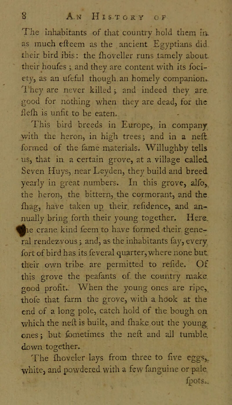 The Inhabitants of that country hold them In. as much efteem as the ancient Egyptians did iheir bird ibis: the fhoveller runs lamely about their houfes and they are content with its foci- ety, as an ufeful though, an homely companion. 'I'hey are never killedand indeed they are. good for notlring when they are dead, for the ilefh is unfit to be eaten. This bird breeds in Europe, in company with the heron, in high trees j and in a neft. formed of the fame materials. Willughby tells us, that in a certain grove, at a village called Seven Huys, near Leyden, they build and breed yearly in great numbers. In this grove, alfo, the heron, the bittern, the cormorant, and the fiiag, have taken up their, refidence, and an- nually bring forth their young together. Here, j^e crane kind feem to have formed -their gene- ral rendezvous; and, as the inhabitants fay, every fort of bird has its feveral quarter, where none but their own tribe are permitted to refide. Of this grove the peafants of the country make, good profit- When the young ones are ripe, thofe that farm the grove, witli a hook at the end of a long pole, catch hold of the bough on which the neft is built, and (hake out the young ones; but fometimes the neft and all tumble, down together. The fhoveler lays from three to five eggs,, white, and powdered with a few fanguine or pale fpOtSi.