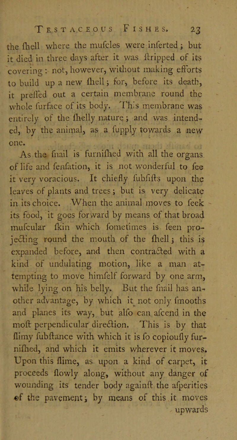 the {hell where the mufcles were Inferted ; but it died in three days after it was ftripped of its covering ; not, however, witliout making efforts to build up a new fliell; for, before its death, it preffed out a certain membrane round the whole furface of its body. This membrane was entirely of the fhelly nature; and was intend- ed, by the animal, as a fupply towards a new one. As the fnail is furniflied with all the organs of life and fenfation, it is not wonderful to fee it very voracious. It chiefly fubfffts upon the leaves of plants and trees; but is very delicate in its choice. When the animal moves to feek its food, it goes forward by means of that broad mufcular Ikin which fometimes is feen pro- jecting round the mouth of the fhell 3 this is expanded before, and then contracted with a kind of undulating motion, like a man at- tempting to move himfelf forward by one arm, while lying on his belly. But the fnail has an- other advantage, by which it not only fmooths and planes its way, but alfo cair afcend in the molt perpendicular direction. This is by that flimy fubftance with which it is fo copioufly fur- nifhed, and which it emits wherever it moves. Upon this llime, as upon a kind of carpet, it proceeds flowly along, without any danger of wounding its tender body againft the afperities of the pavementi by means of this it moves upwards