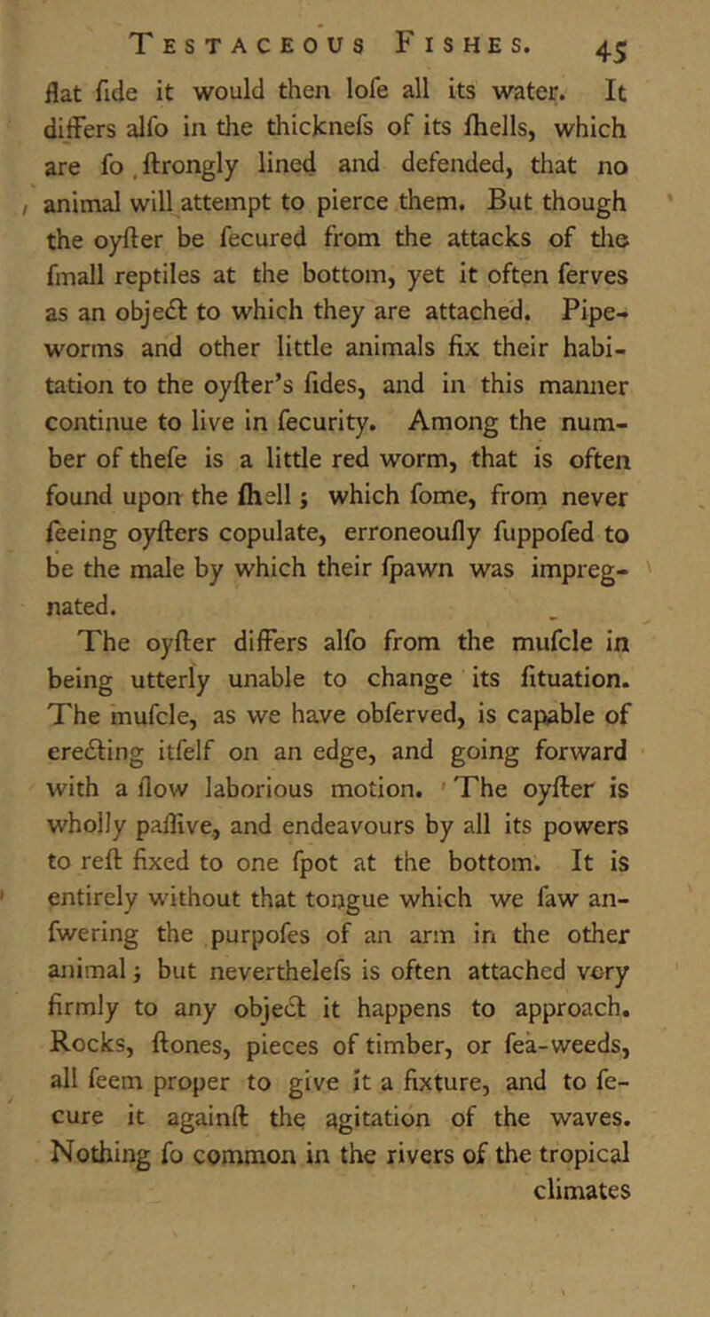 flat fide it would then lofe all its water. It dijfers alfo in the thicknefs of its fhells, which are fo , ftrongly lined and defended, that no / animal will attempt to pierce them. But though the oyfter be fecured from the attacks of die fmall reptiles at the bottom, yet it often ferves as an objedl to which they are attached. Pipe- worms and other little animals fix their habi- tation to the oyfter’s fides, and in this manner continue to live in fecurity. Among the num- ber of thefe is a little red worm, that is often found upon the fhell j which fome, frorn never ieeing oyfters copulate, erroneoufly fuppofed to be the male by which their fpawn was impreg- nated. The oyfter differs alfo from the mufcle in being utterly unable to change its fituation. The mufcle, as we have obferved, is capable of ereddng itfelf on an edge, and going forward with a flow laborious motion. ' The oyffrer is wholly pallive, and endeavours by all its powers to reft fixed to one fpot at the bottom. It is entirely without that tongue which we faw an- fwering the purpofes of an arm in the other animal j but neverthelefs is often attached very firmly to any objecl it happens to approach. Rocks, ftones, pieces of timber, or fea-weeds, all feem proper to give It a fixture, and to fe- cure it againft the agitation of the waves. Nothing fo common in the rivers of the tropical climates