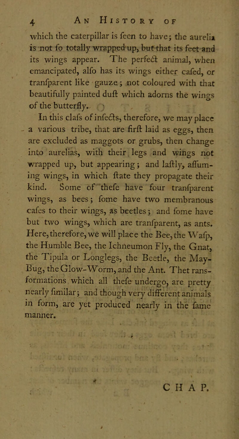 which the caterpillar is fecn to have; the aurelia is not lo totally wrapped up, but that its feet and its wings appear. The perfeit animal, when emancipated, alfo has its wings either cafed, or tranfparent like gauze; not coloured with that beautifully painted dull: which adorns the wings of the butterfly. • In this clafs of infebls, therefore, we may place a various tribe, that are firfl: laid as eggs, then are excluded as maggots or grubs, then change into aurelias, with their legs and wings not wrapped up, but appearing; and laftly, aim- ing wings, in which ftate they propagate their kind. Some of thefe have four tranfparent wings, as bees; fome have two membranous cafes to their wings, as beetles; and fome have but two wings, which are tranfparent, as ants. Here,therefore, we will place the Bee, the Wafp, the Humble Bee, the Ichneumon Fly, the Gnat, the Tipula or Longlegs, the Beetle, the May- Bug, the Glow-Worm, and the Ant. Thet rans- formations which all thefe undergo, are pretty nearly fimilar; and though very different animals in form, are yet produced nearly in the fame manner. •* CHAP.