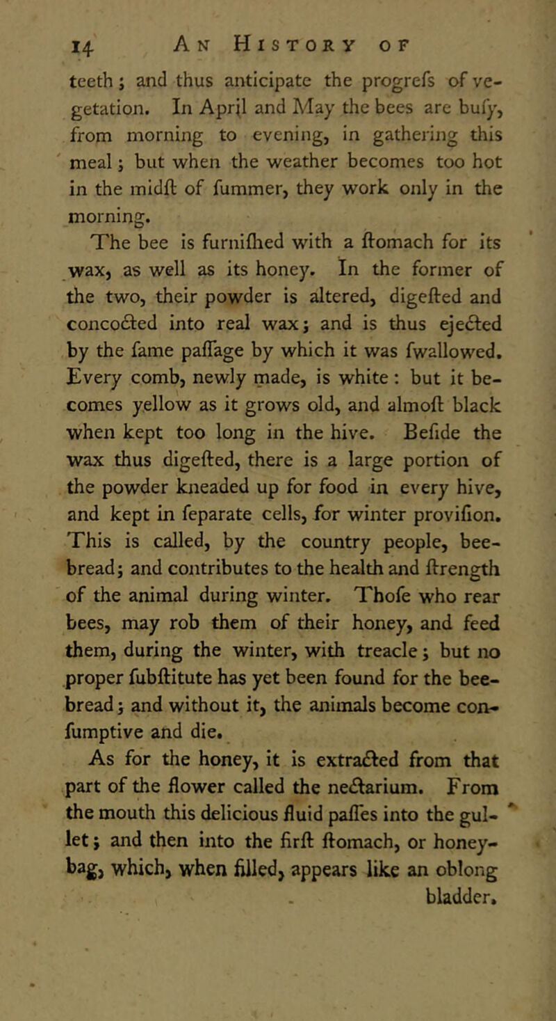 teeth; and thus anticipate the progrefs of ve- getation. In April and May the bees are buly, from morning to evening, in gathering this meal; but when the weather becomes too hot in the midft of fummer, they work only in the morning. The bee is furnifhed with a ftomach for its wax, as well as its honey. In the former of the two, their powder is altered, digefted and concocted into real wax; and is thus ejected by the fame paflage by which it was fwallowed. Every comb, newly made, is white: but it be- comes yellow as it grows old, and almoft black when kept too long in the hive. Befide the wax thus digefted, there is a large portion of the powder kneaded up for food in every hive, and kept in feparate cells, for winter provifion. This is called, by the country people, bee- bread; and contributes to the health and ftrength of the animal during winter. Thofe who rear bees, may rob them of their honey, and feed them, during the winter, with treacle; but no proper fubftitute has yet been found for the bee- bread ; and without it, the animals become con- fumptive and die. As for the honey, it is extracted from that part of the flower called the neftarium. From the mouth this delicious fluid pafl'es into the gul- let ; and then into the firft ftomach, or honey- bag, which, when filled, appears like an oblong bladder.