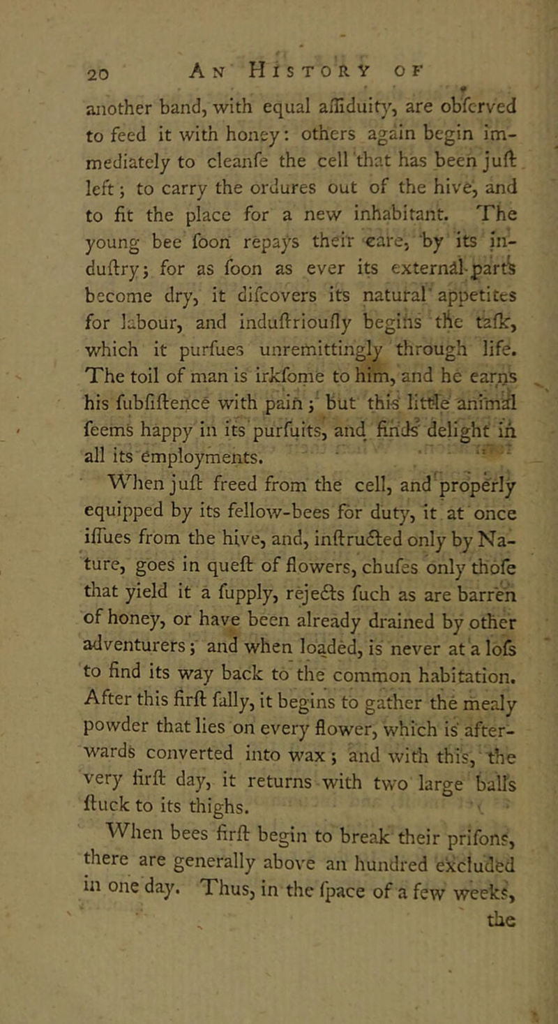 another band, with equal afliduity, are observed to feed it with honey: others again begin im- mediately to cleanfe the cell 'that has been juft left; to carry the ordures out of the hive, and to fit the place for a new inhabitant. The young bee foon repays their care, by its in- duftry; for as foon as ever its external-partk become dry, it difeovers its natural’ appetites for labour, and induftrioufly begins the talk, which it purfues unremittingly through life. The toil of man is irkfome to him, and he earns his fubfiftence with pain; but this littffe animal feems happy in its purfuits, and finds' delight in all its employments. When juft freed from the cell, and properly equipped by its fellow-bees for duty, it at once iflues from the hive, and, inftrudfed only by Na- ture, goes in queft of flowers, chufes only thofe that yield it a fupply, rejedfs fuch as are barren of honey, or have been already drained by other adventurers; and when loaded, is never at a lofs to find its way back to the common habitation. After this firft fally, it begins to gather the mealy powder that lies on every flower, which is after- wards converted into wax; and with this, the very firft day, it returns with two large balls ftuck to its thighs. When bees firft begin to break their prifons, there are generally above an hundred excluded in one day. Thus, in the fpace of a few weeks, the