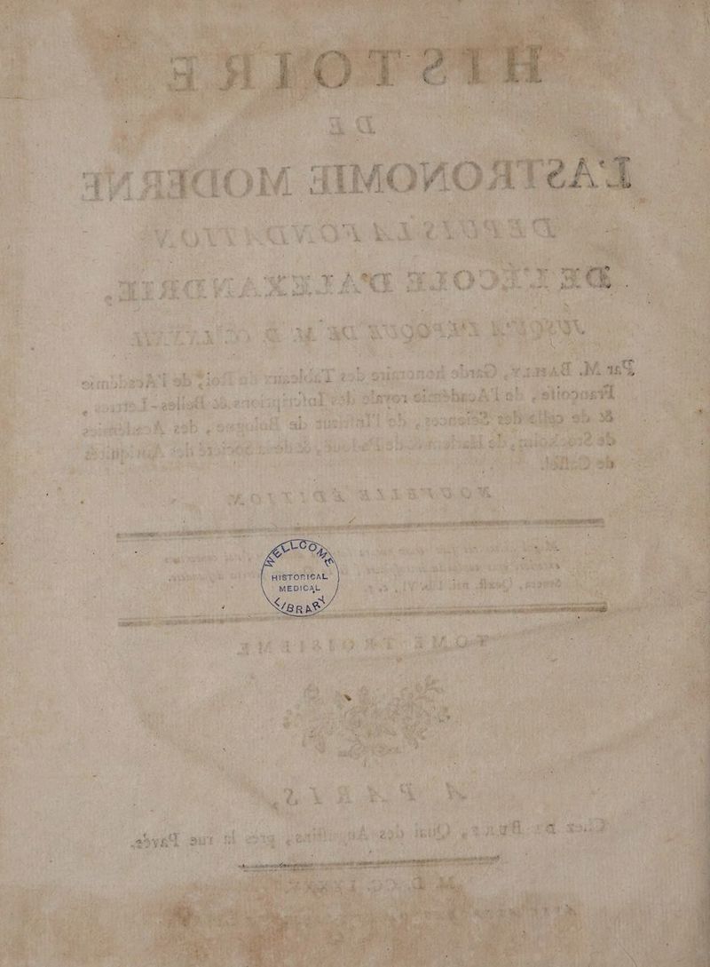 RE CE NL À Lo dia tenet ane jo ü A Fa sk virus Ra