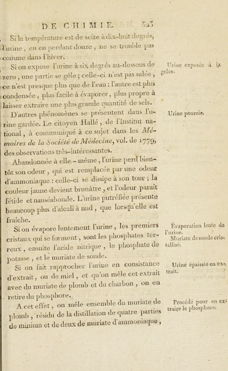 r y* 5aj D E C H un Ë. Si la température est de seize à dix-huit degrés, Emilie , en en perdant douze , ne se trouble pus comme dans 1 hiver* Si on expose l’urine à six degrés au-dessous de zéro , une partie se gèle ; celle-ci n est pas salee , ce n’est presque plus que de l’eau : l autre est plus condensée , plus facile à évaporer, plus propre à laisser extraire une plus grande quantité de sels. D autres phénomènes se présentent dans 1 li- rine gardée. Le citoyen Hallé , de 1 Institut na- tional , à communique a ce sujet dans les Mé- moires de la Société de Médecine, vol. de 1779, des observations très—intéressant es. Abandonnée à elle - même, 1 mine perd bien- tôt son odeur, qui est remplacée par une oueur d’ammoniaque : celle-ci se dissipe à son tour ; la couleur jaune devient brunâtre, et l’odeur paraît fétide et nauséabonde. L’urine putréfiée présente beaucoup plus d’alcali à nud, que lorsqu’elle est Urine exposée à iji celée. & Urine pourri©* fraîche. Si on évapore lentement l’urine, les premiers cristaux qui se forment, sont les phosphates ter- reux , ensuite l’acide nitrique , le phosphate dé- potasse , et le muriate de soude. Si on fait rapprocher l’urine en consistance d’extrait, ou de miel, et qu’on mêle cet extrait avec du muriate de plomb et du charbon , on en retire du phosphore. < A cet effet, on mêle ensemble du muriate de plomb , résidu de la distillation de quatre parties de minium et de deux de muriate d’ammoniaque, Évaporation lente de l'iiriiie* Muriate de soude cris-t tallisc. Urine épaissie en ex-, trait. Procédé pour en ex* traire le phosphore*