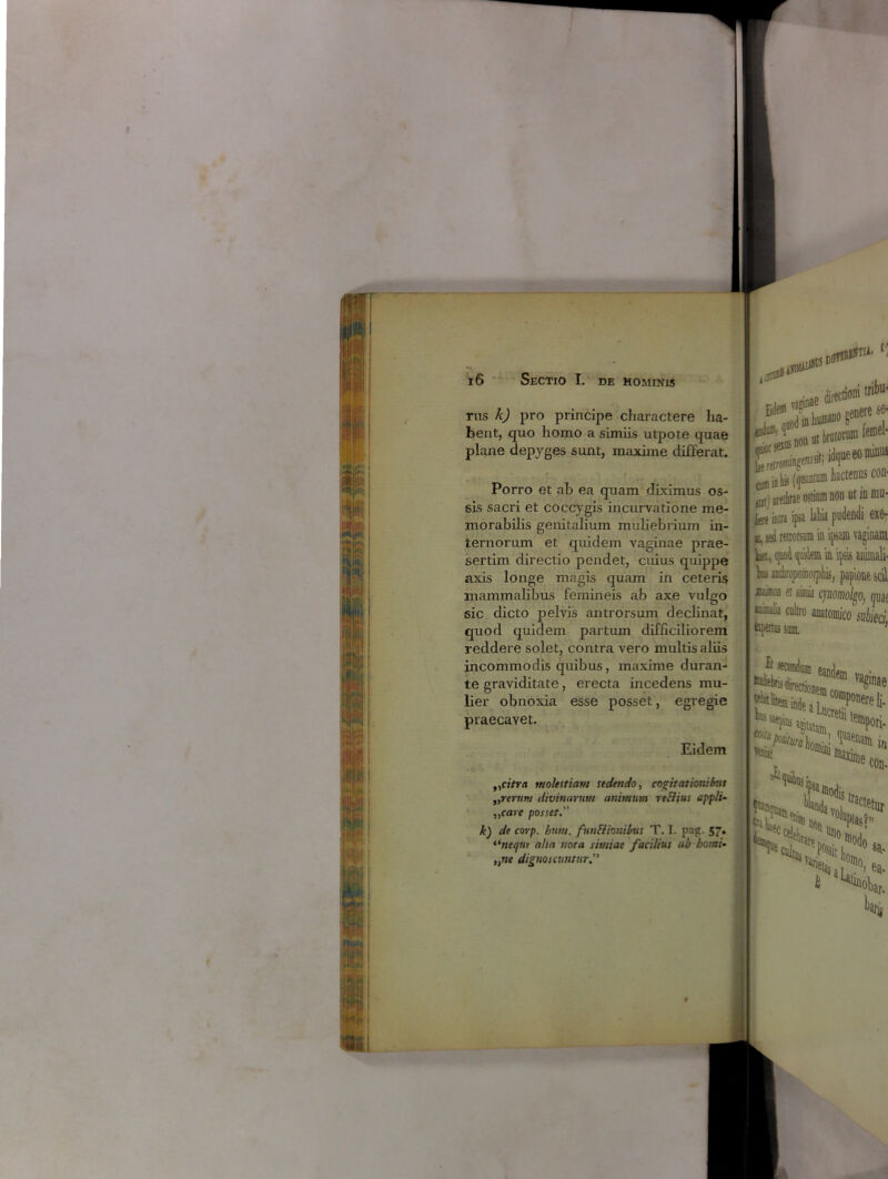 rus k) pro principe charactere ha- bent, quo homo a simiis utpote quae plane depyges sunt, maxime differat. Porro et ab ea quam diximus os- sis sacri et coccygis incurvatione me- morabilis genitalium muliebrium in- ternorum et quidem vaginae prae- sertim directio pendet, cuius quippe axis longe magis quam in ceteris mammalibus femineis ab axe vulgo sic dicto pelvis antrorsum declinat, quod quidem partum difficiliorem reddere solet, contra vero multis aliis incommodis quibus, maxime duran- te graviditate, erecta incedens mu- lier obnoxia esse posset, egregie praecavet. Eidem „«Vra molestiam sedendo, cogitationibus ,,rerum divinarum animum reclius appli- „care posset k) de corp. huiu. funflionibus T. I. pag. 57. lincque aha nota simiae facilius ab horni- ,yne dignoscuntur SDlFf^' ■nae directioni tribu* (fiMtiim hactenus con- 0t) urethrae ostium non ut in mu* jge intra ipsa labia pudendi exe- u, sed retrorsum in ipsam vaginam \aa, <po4 (pniem in ipsis animali- Vm aairopomo/pbis, papione sed, et simia cjnomolgo, quae cultro anatomico subiecif smon fapatns sue on- *■ <*« ^5rt; ‘^ipsan, j. te.tji'-* sa-  ‘UHr. £ b,