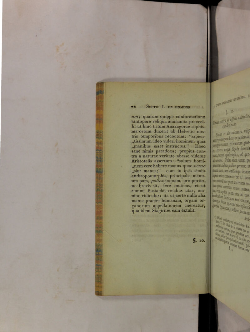 um; quarum quippe conformatione tantopere reliqua animantia praecel- lit ut hinc tritum Anaxagorae sophis- ma ortum duxerit ab Helvetio nos- tris temporibus recoctum: “sapien- „tissimum ideo videri hominem quia „manibus esset instructus.” Haec sane nimis paradoxa; propius con- tra a naturae veritate abesse videtur Aristotelis assertum: “solum homi- „nem vere habere manus quae verae „sint manus;” cum in ipsis simiis anthropomorphis, principalis manu- tun pars, pollex inquam, pro portio- ne brevis sit, fere muticus, et ut summi Eustachii vocibus utar, om- nino ridiculus: ita ut certe nulla alia manus praeter humanam, organi or- ganorum appellationem mereatur, qua idem Stagirites eam extulit. §. io. % 10. Sl mlrrnM. alia animantia yu V Simiae et jj^rtroomoipim dicta, ex j. et lemurum ge: it, revera neque , Kut, neque quadrupeda, sed (J imam, Pedes enim eorum Hwnas inim pollice genuino fimcn sunt non halhce qui hoi %di unice concessus est oj: i 'ero maiori jure quam anteriores i ™fete manuum nomen iner *H*-Cr«*