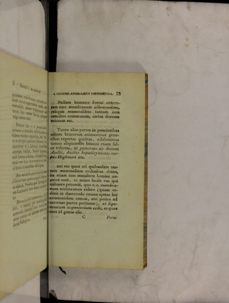 J2 Secti0 j „ Dc SOjibu Condam, ca^i rarior:, Z00t0^ «»» fete oim8??'t,,r 11 Peniet hc j.c.plmia^ wrnom s, musculas subcutaneus i Galeno ems^se^ack, imo re Vf\ Ot Qn infin AnatAma? a re- re- •v — uiuuauirc Stauratore et a Gilenicis erroribus acerrimo vindice, Vesalio inquam» male homini tributus, aXicolaoSttj nonis vero huic recte necato et ani- ce brutis animantibus adscnptus. A CETERIS AXIMAE1BUS DIFFERENTIA. 33 Nullam humano foetui conces- sam esse membranam allantoidem, reliquis mammalibus tantum non omnibus communem, serius demum «victum est. Taceo alias partes in paucioribus saltem brutorum animantium gene- ribus repertas quidem, nihilominus tamen aliquamdiu homini etiam fal- so tributas, ut pancreas sic dictum Aselliij ductus hepaticjsticosj cor- pus Highmori etc. aut eas quae uti quibusdam tan- tum mammalium ordinibus datae, ita etiam tam manifeste homini ne- gatae sunt, ut nemo facile eas ipsi tribuere potuerit, quo V. c. membra- nam nictitantem refero (quam or- dinis in disserendo caussa aptius hic nominandam censui, etsi potius ad externas partes pertineat), et liga- mentum suspensorium colli, et quas fiunt id genus alia. C Fora-
