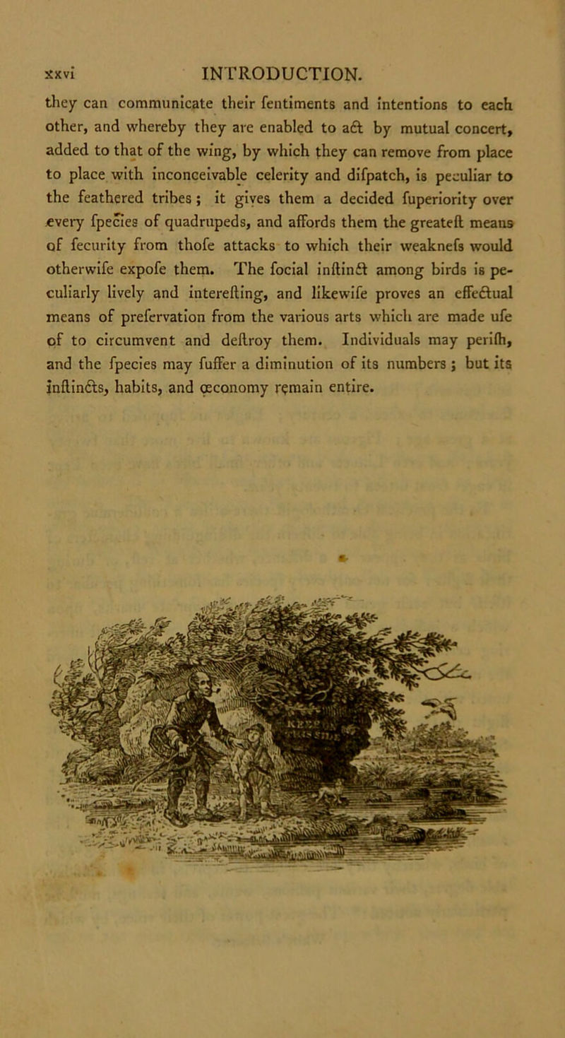 they can communicate their fentiments and intentions to each other, and whereby they are enabled to aft by mutual concert, added to that of the wing, by which they can remove from place to place with inconceivable celerity and difpatch, is peculiar to the feathered tribes; it gives them a decided fuperiority over every fpecies of quadrupeds, and affords them the greateft means of fecurity from thofe attacks to which their weaknefs would otherwife expofe them. The focial inftinft among birds is pe- culiarly lively and interelling, and likewife proves an effeftual means of prefervation from the various arts which are made ufe of to circumvent and dellroy them. Individuals may perilh, and the fpecies may fuffer a diminution of its numbers; but its inflinfts, habits, and osconomy remain entire.