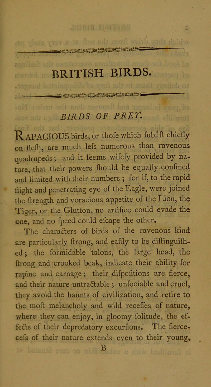 BRITISH BIRDS. BIRDS OF FRET. Rapacious birds, or thofe which fubfift chiefly on flelh, are much lefs numerous than ravenous quadrupeds; and it feems wifely provided by na- ture, that their powers fliould be equally confined and limited with their numbers ; for if, to the rapid flight and penetrating eye of the Eagle, were joined the ftrength and voracious appetite of the Lion, the Tiger, or the Glutton, no artifice could evade the one, and no fpeed could efcape the other. The characters of birds of the ravenous kind are particularly ftrong, and eafily to be diftinguifh- ed; the formidable talons, the large head, the ftrong and crooked beak, indicate their ability for rapine and carnage ; their difpofitions are fierce, and their nature untraCtable ; unfociable and cruel, they avoid the haunts of civilization, and retire to the molt melancholy and wild recefles of nature, where they can enjoy, in gloomy folitude, the ef- fects of their depredatory excurfions. The fierce- cefs of their nature extends even to their young, B