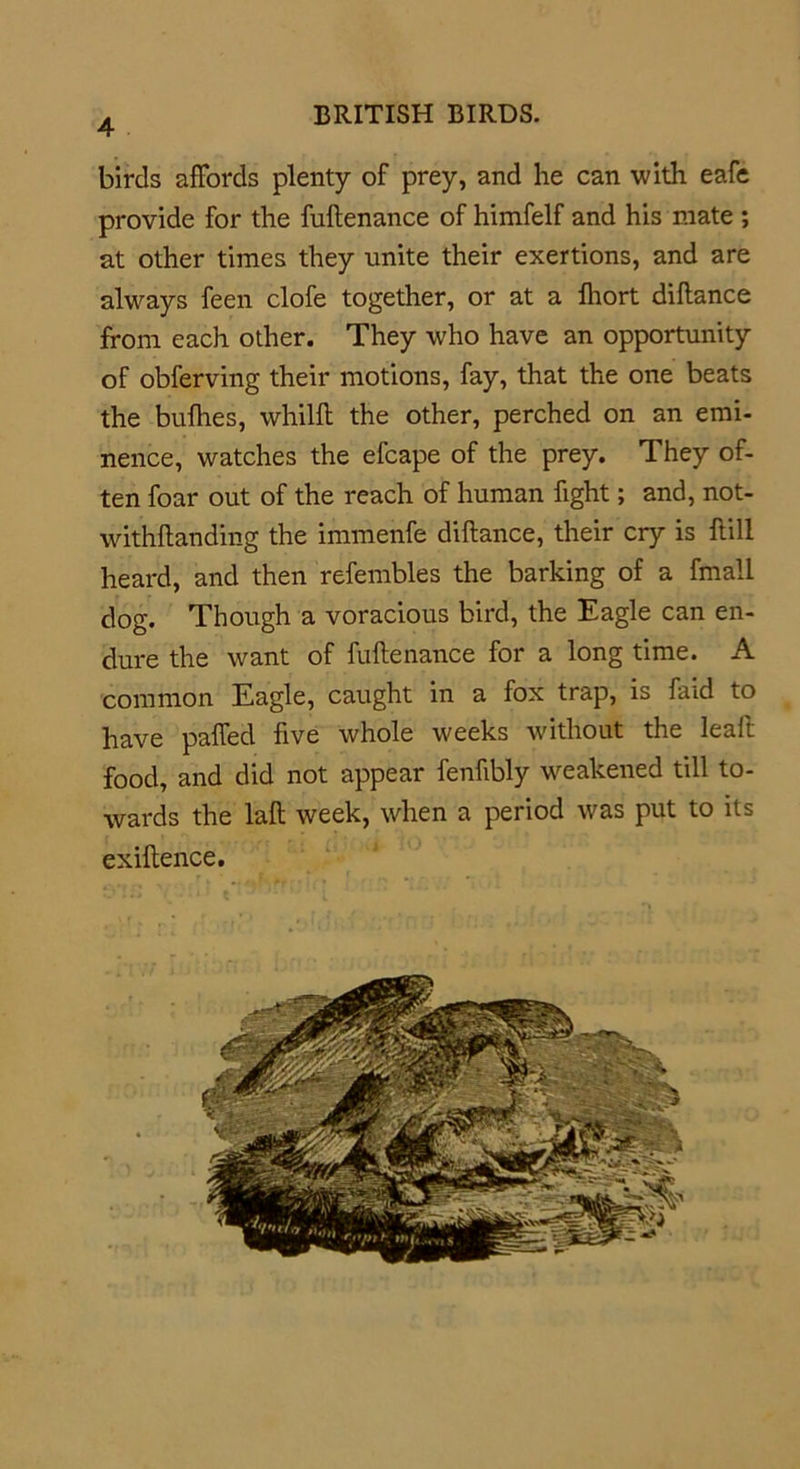birds affords plenty of prey, and he can with eafe provide for the fuftenance of himfelf and his mate ; at other times they unite their exertions, and are always feen clofe together, or at a fhort diflance from each other. They who have an opportunity of obferving their motions, fay, that the one beats the bullies, whilfl the other, perched on an emi- nence, watches the efcape of the prey. They of- ten foar out of the reach of human fight; and, not- withflanding the immenfe diflance, their cry is flill heard, and then refembles the barking of a fmall dog. Though a voracious bird, the Eagle can en- dure the want of fuftenance for a long time. A common Eagle, caught in a fox trap, is faid to have paffed five whole weeks without the leaft food, and did not appear fenftbly weakened till to- wards the laft week, when a period was put to its exiftence.