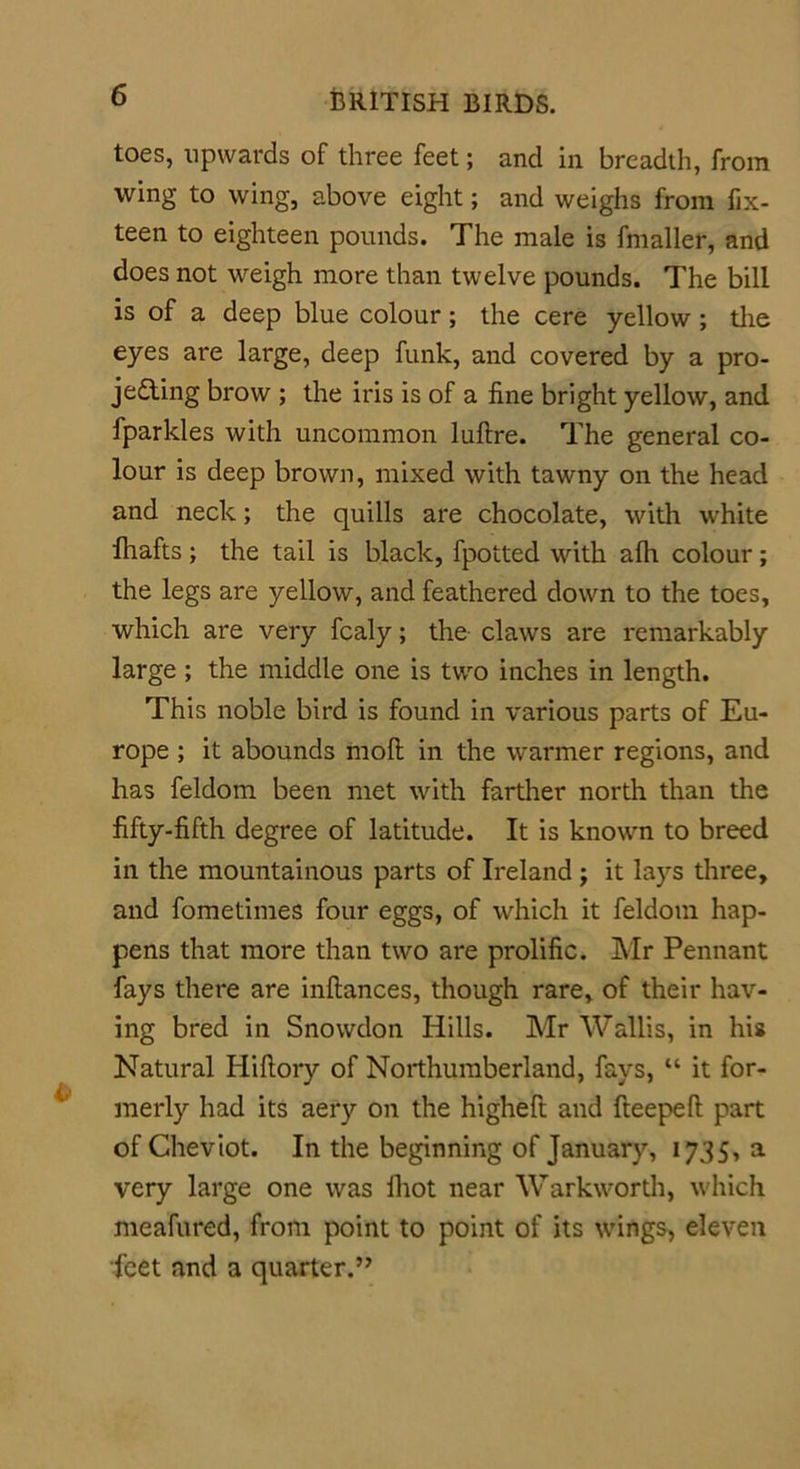toes, upwards of three feet; and in breadth, from wing to wing, above eight; and weighs from fix- teen to eighteen pounds. The male is fmaller, and does not weigh more than twelve pounds. The bill is of a deep blue colour; the cere yellow ; the eyes are large, deep funk, and covered by a pro- jecting brow ; the iris is of a fine bright yellow, and fparkles with uncommon luftre. The general co- lour is deep brown, mixed with tawny on the head and neck; the quills are chocolate, with white fhafts ; the tail is black, fpotted with afh colour ; the legs are yellow, and feathered down to the toes, which are very fcaly; the claws are remarkably large; the middle one is two inches in length. This noble bird is found in various parts of Eu- rope ; it abounds molt in the warmer regions, and has feldom been met with farther north than the fifty-fifth degree of latitude. It is known to breed in the mountainous parts of Ireland j it lays three, and fometimes four eggs, of which it feldom hap- pens that more than two are prolific. Mr Pennant fays there are inftances, though rare, of their hav- ing bred in Snowdon Hills. Mr Wallis, in his Natural Hiftory of Northumberland, fays, “ it for- merly had its aery on the higheft and fteepeft part of Cheviot. In the beginning of January, 1735, a very large one was lhot near Warkworth, which meafured, from point to point of its wings, eleven feet and a quarter.”