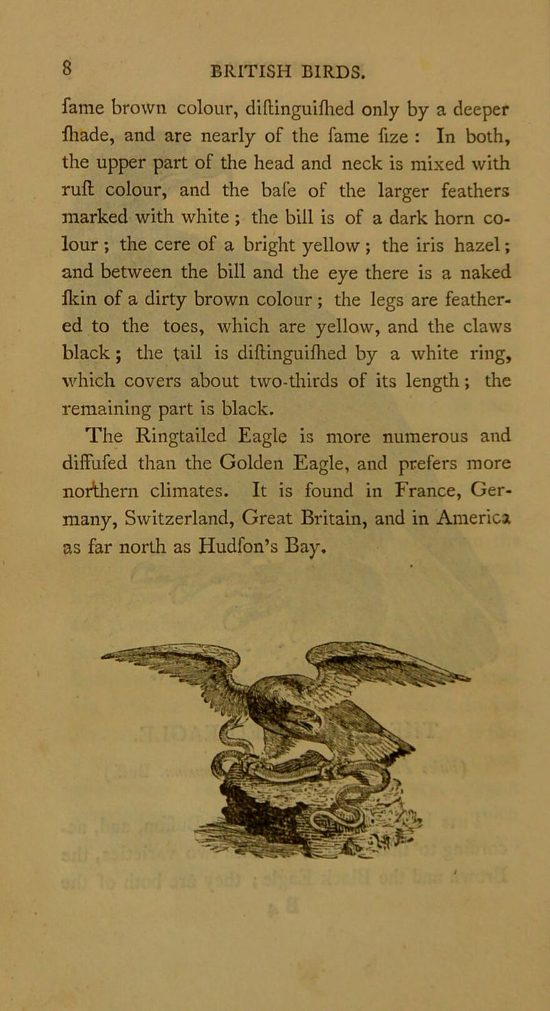 fame brown colour, diftinguifhed only by a deeper fhade, and are nearly of the fame fize : In both, the upper part of the head and neck is mixed with rult colour, and the bale of the larger feathers marked with white ; the bill is of a dark horn co- lour ; the cere of a bright yellow ; the iris hazel; and between the bill and the eye there is a naked fkin of a dirty brown colour ; the legs are feather- ed to the toes, which are yellow, and the claws black; the tail is diftinguifhed by a white ring, which covers about two-thirds of its length; the remaining part is black. The Ringtailed Eagle is more numerous and diffufed than the Golden Eagle, and prefers more northern climates. It is found in France, Ger- many, Switzerland, Great Britain, and in America as far north as Hudfon’s Bay,