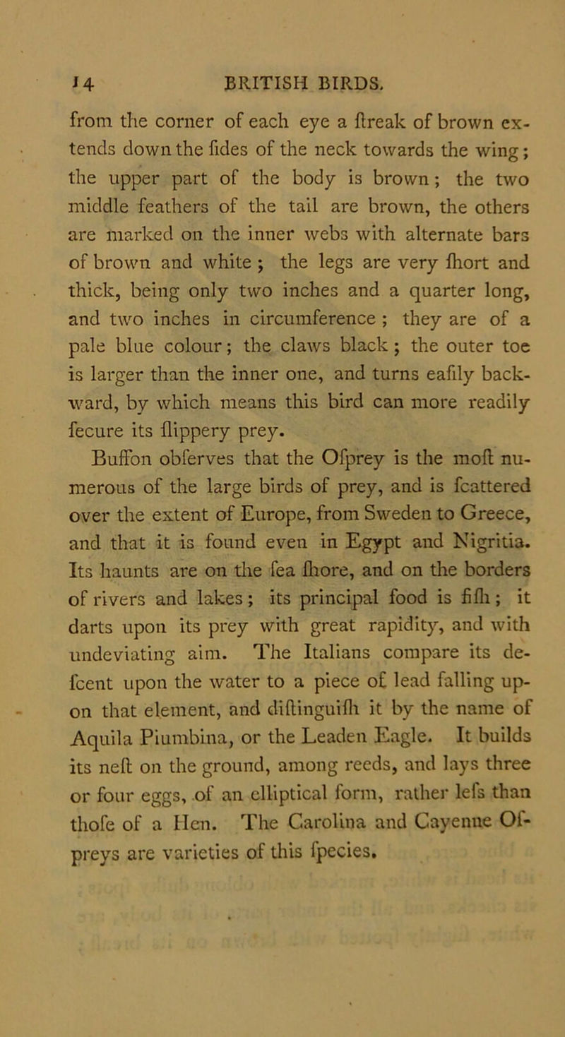 from the corner of each eye a break of brown ex- tends down the fides of the neck towards the wing; the upper part of the body is brown; the two middle feathers of the tail are brown, the others are marked on the inner webs with alternate bars of brown and white ; the legs are very fhort and thick, being only two inches and a quarter long, and two inches in circumference ; they are of a pale blue colour; the claws black ; the outer toe is larger than the inner one, and turns eafily back- ward, by which means this bird can more readily fecure its flippery prey. Buffon obferves that the Ofprey is the mob nu- merous of the large birds of prey, and is fcattered over the extent of Europe, from Sweden to Greece, and that it is found even in Egypt and Nigritia. Its haunts are on the fea btore, and on the borders of rivers and lakes; its principal food is fibi; it darts upon its prey with great rapidity, and with undeviating aim. The Italians compare its de- fcent upon the water to a piece of lead falling up- on that element, and dibinguifh it by the name of Aquila Piumbina, or the Leaden Eagle. It builds its neb on the ground, among reeds, and lays three or four eggs, of an elliptical form, rather lefs than thofe of a lien. The Carolina and Cayenne Ol- preys are varieties of this lpecies.