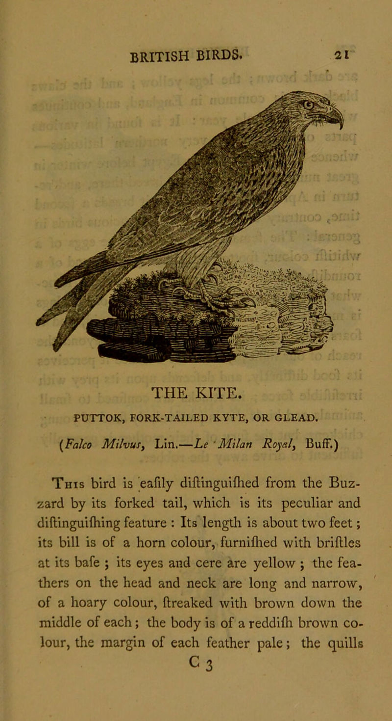 PUTTOK, FORK-TAILED KYTE, OR GLEAD. (Falco MilvuSy Lin.—Le 'Milan Royal, Buff.) This bird is eafily diftinguifhed from the Buz- zard by its forked tail, which is its peculiar and dillinguilhing feature : Its length is about two feet; its bill is of a horn colour, furniflied with bridles at its bafe ; its eyes and cere are yellow ; the fea- thers on the head and neck are long and narrow, of a hoary colour, ftreaked with brown down the middle of each; the body is of a reddilh brown co- lour, the margin of each feather pale; the quills C3