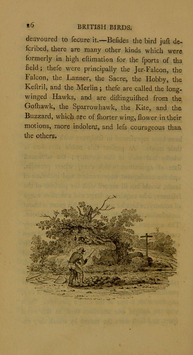 deavoured to fecure it.—Befides the bird juft de- lcribed, there are many other kinds which were formerly in high eftimation for the fports of ths field; thefe were principally the Jer-Falcon, the Falcon, the Lanner, the Sacre, the Hobby, the Keftril, and the Merlin; thefe are called the long- winged Hawks, and are diftinguifhed from the Gofhawk, the Sparrowhawk, the Kite, and the Buzzard, which are of fhorter wing, flower in their motions, more indolent, and lefs courageous than the others.
