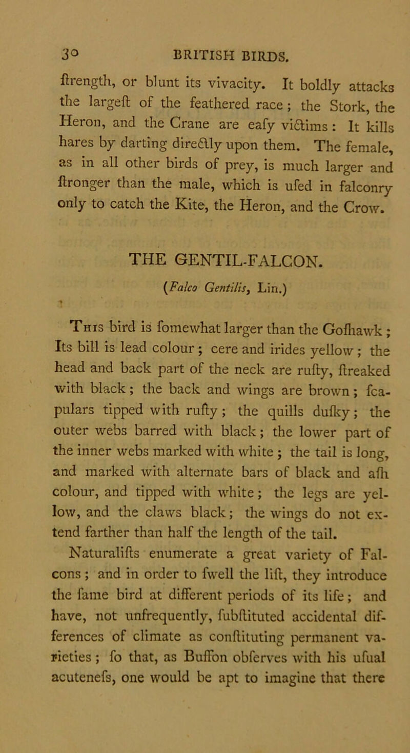 ftrength, or blunt its vivacity. It boldly attacks the large!! of the feathered race ; the Stork, the Heron, and the Crane are eafy vittims: It kills hares by darting diredly upon them. The female, as in all other birds of prey, is much larger and llronger than the male, which is ufed in falconry only to catch the Kite, the Heron, and the Crow. THE GENTIL-FALCON. (Falco GentiliSy Lin.) This bird is fomewhat larger than the Golhawk ; Its bill is lead colour ; cere and irides yellow ; the head and back part of the neck are rufty, ftreaked with black; the back and wings are brown; fca- pulars tipped with rufty; the quills dulky; the outer webs barred with black; the lower part of the inner webs marked with white ; the tail is long, and marked with alternate bars of black and afli colour, and tipped with white; the legs are yel- low, and the claws black; the wings do not ex- tend farther than half the length of the tail. Naturalifls enumerate a great variety of Fal- cons ; and in order to fwell the lift, they introduce the fame bird at different periods of its life; and have, not unfrequently, fubftituted accidental dif- ferences of climate as conftituting permanent va- rieties ; fo that, as Buffon obferves with his ufual acutenefs, one would be apt to imagine that there