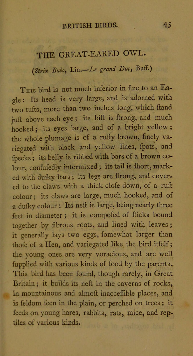 THE GREAT-EARED OWL. (Strix Etibo, Lin.—Le grand Duct Buff.) This bird is not much inferior in fize to an Ea- gle : Its head is very large, and is adorned with two tufts, more than two inches long, which Hand juft above each eye ; its bill is ftrong, and much hooked ; its eyes large, and of a bright yellow ; the whole plumage is of a rufty brown, finely va- riegated with black and yellow lines, fpots, and fpecks; its belly is ribbed with bars of a brown co- lour, confufedly intermixed ; its tail is fhort, mark- ed with duiky bars ; its legs are ftrong, and cover- ed to the claws with a thick clofe down, of a ruft colour; its claws are large, much hooked, and of a duiky colour : Its neft is large, being nearly three feet in diameter ; it is compofed of flicks bound together by fibrous roots, and lined with leaves ; it generally lays two eggs, fomewhat larger than thofe of a Hen, and variegated like the bird itfelf; the young ones are very voracious, and are well fupplied with various kinds of food by the parents* This bird has been found, though rarely, in Great Britain; it builds its neft in the caverns of rocks, in mountainous and almoft inacceflible places, and is feldom feen in the plain, or perched on trees; it feeds on young hares, rabbits, rats, mice, and rep- tiles of various kinds.