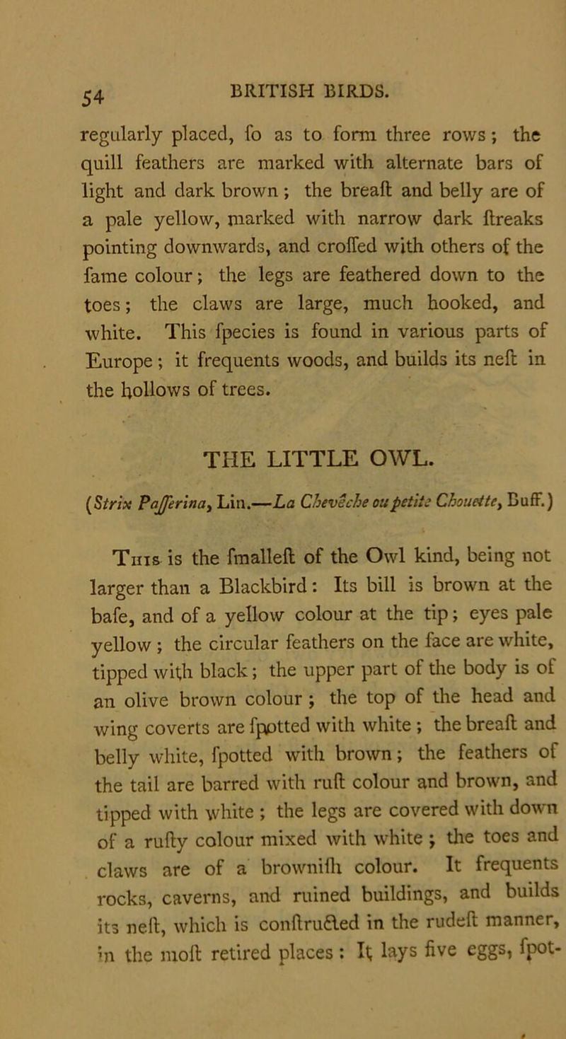regularly placed, fo as to form three rows; the quill feathers are marked with alternate bars of light and dark brown ; the breaft and belly are of a pale yellow, marked with narrow dark llreaks pointing downwards, and croffed with others of the fame colour; the legs are feathered down to the toes; the claws are large, much hooked, and white. This fpecies is found in various parts of Europe ; it frequents woods, and builds its neft in the hollows of trees. THE LITTLE OWL. (Strix Pajferlna, Lin.—La Chevecheoupetit; Choueitey Buff.) This is the fmalleft of the Owl kind, being not larger than a Blackbird: Its bill is brown at the bafe, and of a yellow colour at the tip; eyes pale yellow ; the circular feathers on the face are white, tipped with black; the upper part of the body is of an olive brown colour ; the top of the head and wing coverts are fpptted with white ; the breaft and belly white, fpotted with brown; the feathers of the tail are barred with ruft colour and brown, and tipped with white ; the legs are covered with down of a rufty colour mixed with white ; the toes and claws are of a brownifh colour. It frequents rocks, caverns, and ruined buildings, and builds its neft, which is conftru&amp;ed in the rudeft manner, in the molt retired places : It, lays five eggs, fpot-