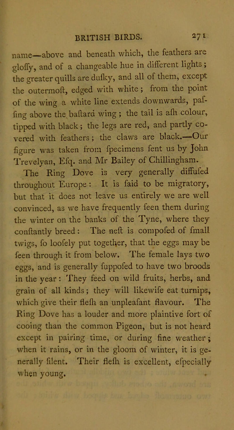 name—above and beneath which, the feathers are glofly, and of a changeable hue in different lights; the greater quills are dufky, and all of them, except the outermoft, edged with white; from the point of the wing a white line extends downwards, paf- fing above the. bailard wing ; the tail is afh coloui, tipped with black; the legs are red, and partly co- vered with feathers; the claws are black.—Our figure was taken from fpecimens fent us by John Trevelyan, Efq. and Mr Bailey of Chillingham. The Ring Dove is very generally diffufed throughout Europe: It is faia to be migratory, but that it does not leave us entirely we are well convinced, as we have frequently feen them during the winter on the banks of the Tyne, where they conflantly breed : The nefl is compofed of fmall twigs, fo loofely put together, that the eggs may be feen through it from below. The female lays two eggs, and is generally fuppofed to have two broods in the year: They feed on wild fruits, herbs, and grain of all kinds; they will likewife eat turnips, which give their flefh an unpleafant flavour. The Ring Dove has a louder and more plaintive fort of cooing than the common Pigeon, but is not heard except in pairing time, or during fine weather; when it rains, or in the gloom of winter, it is ge- nerally filent. Their flefh is excellent, efpecially when young.