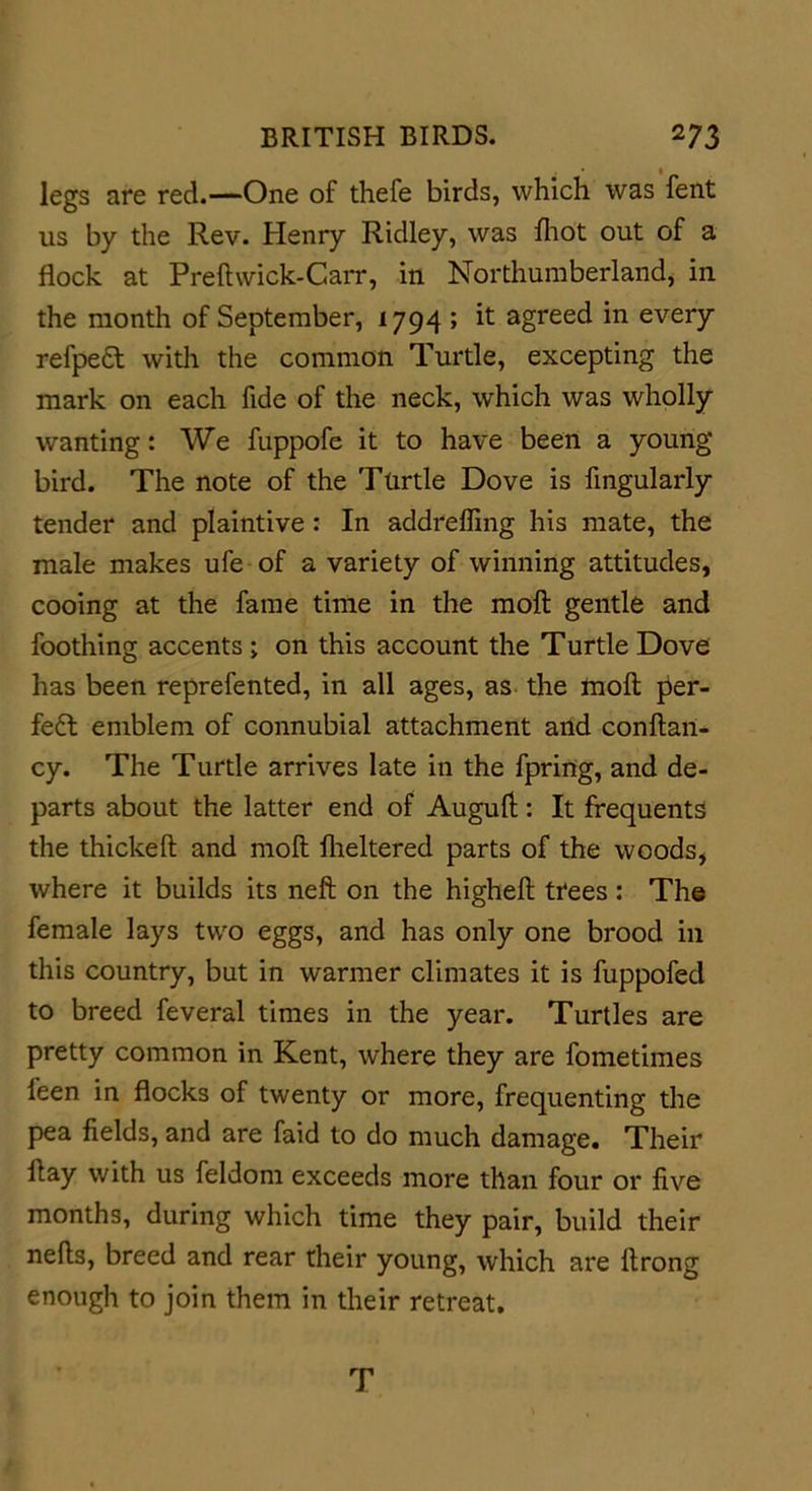 legs are red.—One of thefe birds, which was fent us by the Rev. Henry Ridley, was fhot out of a flock at Preftwick-Carr, in Northumberland, in the month of September, 1794 ; it agreed in every refpe£t with the common Turtle, excepting the mark on each fide of the neck, which was wholly wanting: We fuppofe it to have been a young bird. The note of the Turtle Dove is Angularly tender and plaintive : In addrefling his mate, the male makes ufe of a variety of winning attitudes, cooing at the fame time in the molt gentle and foothing accents ; on this account the Turtle Dove has been reprefented, in all ages, as the moll per- fect emblem of connubial attachment and conftan- cy. The Turtle arrives late in the fpring, and de- parts about the latter end of Auguft: It frequents the thickeft and moll fheltered parts of the woods, where it builds its neft on the higheft trees: The female lays two eggs, and has only one brood in this country, but in warmer climates it is fuppofed to breed feveral times in the year. Turtles are pretty common in Kent, where they are fometimes leen in flocks of twenty or more, frequenting the pea fields, and are faid to do much damage. Their flay with us feldom exceeds more than four or five months, during which time they pair, build their nefls, breed and rear their young, which are firong enough to join them in their retreat. T