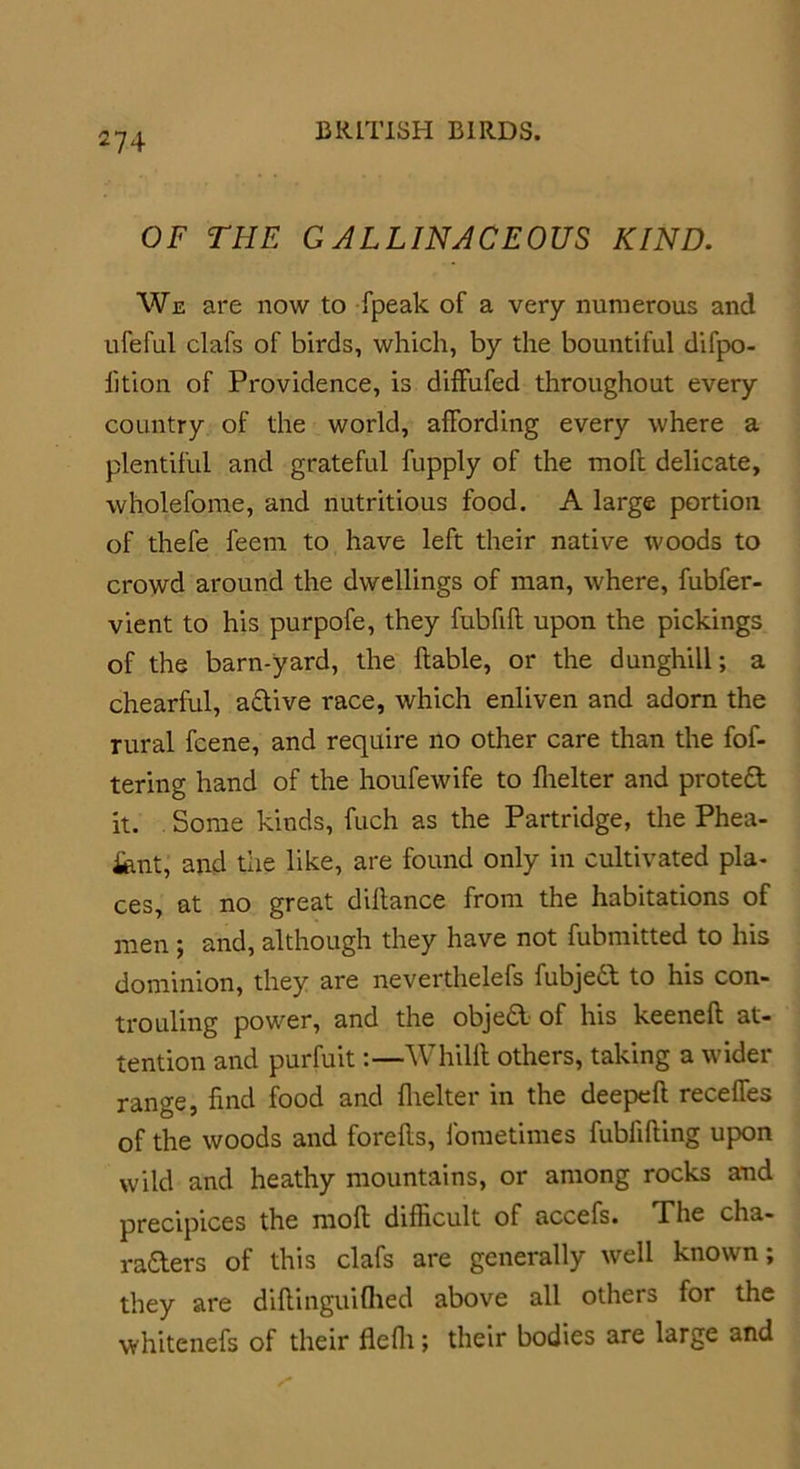 OF THE GALLINACEOUS KIND. We are now to fpeak of a very numerous and ufeful clafs of birds, which, by the bountiful difpo- lition of Providence, is diffufed throughout every country of the world, affording every where a plentiful and grateful fupply of the molt delicate, whole fome, and nutritious food. A large portion of thefe feem to have left their native woods to crowd around the dwellings of man, where, fubfer- vient to his purpofe, they fubfift upon the pickings of the barn-yard, the liable, or the dunghill; a chearful, aftive race, which enliven and adorn the rural fcene, and require no other care than the fof- tering hand of the houfewife to Ihelter and protedl it. Some kinds, fuch as the Partridge, the Phea- sant, and the like, are found only in cultivated pla- ces, at no great dillance from the habitations of men ; and, although they have not fubmitted to his dominion, they are neverthelefs fubjeft to his con- trouling power, and the objedl of his keenell at- tention and purfuit:—Whilll others, taking a wider range, find food and Ihelter in the deepell receffes of the woods and forells, fometimes fublilling upon wild and heathy mountains, or among rocks and precipices the moll difficult of accefs. The cha- racters of this clafs are generally well known; they are dillinguilhed above all others for the vvhitenefs of their flefli; their bodies are large and