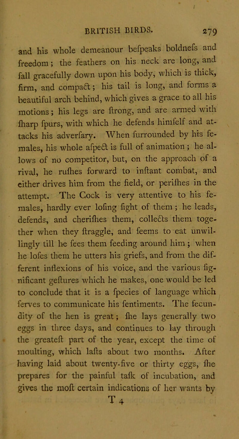 I BRITISH BIRDS. 279 and his whole demeanour befpeaks boldnefs and freedom; the feathers on his neck are long, and fall gracefully down upon his body, which is thick, firm, and compact; his tail is long, and forms a beautiful arch behind, which gives a grace to all his motions; his legs are ftrong, and are armed with fharp fpurs, with which he defends himfelf and at- tacks his adverfary. When furrounded by his fe- males, his whole afped is full of animation ; he al- lows of no competitor, but, on the approach of a rival, he ruflies forward to inftant combat, and either drives him from the field, or peri flies in the attempt. The Cock is very attentive to his fe- males, hardly ever lofing fight of them ; he leads, defends, and cherilhes them, colleds them toge- ther when they ftraggle, and feems to eat unwil- lingly till he fees them feeding around him ; when he lofes them he utters his griefs, and from the dif- ferent inflexions of his voice, and the various fig- nificant geftures which he makes, one would be led to conclude that it is a fpecies of language which ferves to communicate his fentiments. The fecun- dity of the hen is great; fhe lays generally two eggs in three days, and continues to lay through the greatefl: part of the year, except the time of moulting, which lafls about two months. After having laid about twenty-five or thirty eggs, fhe prepares for the painful talk of incubation, and gives the moll certain indications of her wants by T4