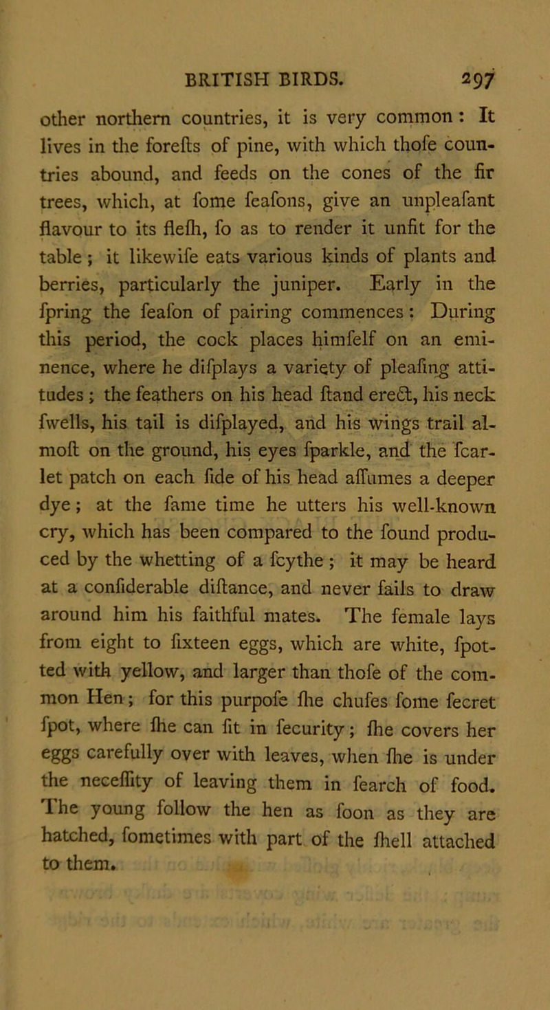 other northern countries, it is very common : It lives in the forefts of pine, with which thofe coun- tries abound, and feeds on the cones of the fir trees, which, at fome feafons, give an unpleafant flavour to its flefh, fo as to render it unfit for the table ; it like wife eats various kinds of plants and berries, particularly the juniper. Early in the fpring the feafon of pairing commences: During this period, the cock places himfelf on an emi- nence, where he difplays a variety of pleafing atti- tudes ; the feathers on his head Hand ere£t, his neck fwells, his tail is difplayed, and his wings trail al- mofl on the ground, his eyes fparkle, and the fear- let patch on each fide of his head affumes a deeper dye; at the fame time he utters his well-known cry, which has been compared to the found produ- ced by the whetting of a feythe ; it may be heard at a confiderable diftance, and never fails to draw around him his faithful mates. The female lays from eight to fixteen eggs, which are white, fpot- ted with yellow, and larger than thofe of the com- mon Hen; for this purpofe fhe chufes fome fecret fpot, where fhe can fit in fecurity; fhe covers her eggs carefully over with leaves, when fhe is under the neceffity of leaving them in fearch of food. 1 he young follow the hen as foon as they are hatched, fometimes with part of the fhell attached to them.