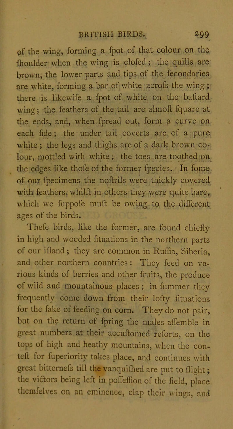 of the wing, forming a fpot of that colour on the fhoulder when the wing is clofecl; the quills are brown, the lower parts and tips of the fecondaries are white, forming a bar of white acrofs the wing ; there is likewife a fpot of white on the ballard wing; the feathers of the tail are almoft fquare at the ends, and, when fpread out, form a curve on each fide; the under tail coverts are of a pure white ; the legs and thighs are of a dark brown co- lour, mottled with white ; the toes are toothed on the edges like thofc of the former fpecies. In fome of our fpecimens the nollrils were thickly covered with feathers, whilh in others they were quite bare, which we fuppofe mull be owing to the different ages of the birds. Thefe birds, like the former, are found chiefly in high and vvocded fituations in the northern parts of our illand ; they are common in Rulha, Siberia, and other northern countries : They feed on va- rious kinds of berries and other fruits, the produce of wild and mountainous places ; in fummer they frequently come down from their lofty fituations for the fake of feeding on corn. They do not pair, but on the return of fpring the males aflfemble in great numbers at their accuftomed reforts, on the tops of high and heathy mountains, when the con- tell for fuperiority takes place, and continues with great bitternefs till the vanquilhed are put to flight; the vidtors being left in poffeflion of the field, place themfelves on an eminence, clap their wings, and