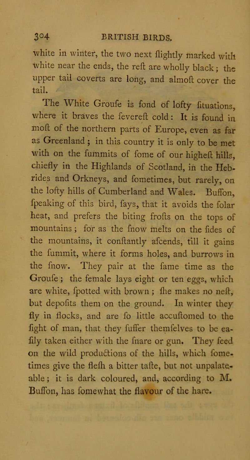 white in winter, the two next flightly marked with white near the ends, the reft are wholly black; the upper tail coverts are long, and almoft cover the tail. The White Groufe is fond of lofty fituations, where it braves the fevereft cold: It is found in moft of the northern parts of Europe, even as far as Greenland; in this country it is only to be met with on the fummits of fome of our higheft hills, chiefly in the Highlands of Scotland, in the Heb- rides and Orkneys, and fometimes, but rarely, on the lofty hills of Cumberland and Wales. Buffon, fpeaking of this bird, fays, that it avoids the folar heat, and prefers the biting frofts on the tops of mountains; for as the fnow melts on the fides of the mountains, it conftantly afcends, till it gains the fummit, where it forms holes, and burrows in the lnow. They pair at the fame time as the Groufe ; the female lays eight or ten eggs, which are white, fpotted with brown ; fhe makes no neft, but depofits them on the ground. In winter they fly in flocks, and are fo little accuftomed to the fight of man, that they fuffer themfelves to be ea- fily taken either with the fnare or gun. They feed on the wild productions of the hills, which fome- times give the flefh a bitter tafte, but not unpalate- able ; it is dark coloured, and, according to M. Buffon, has fomewhat the flavour of the hare.