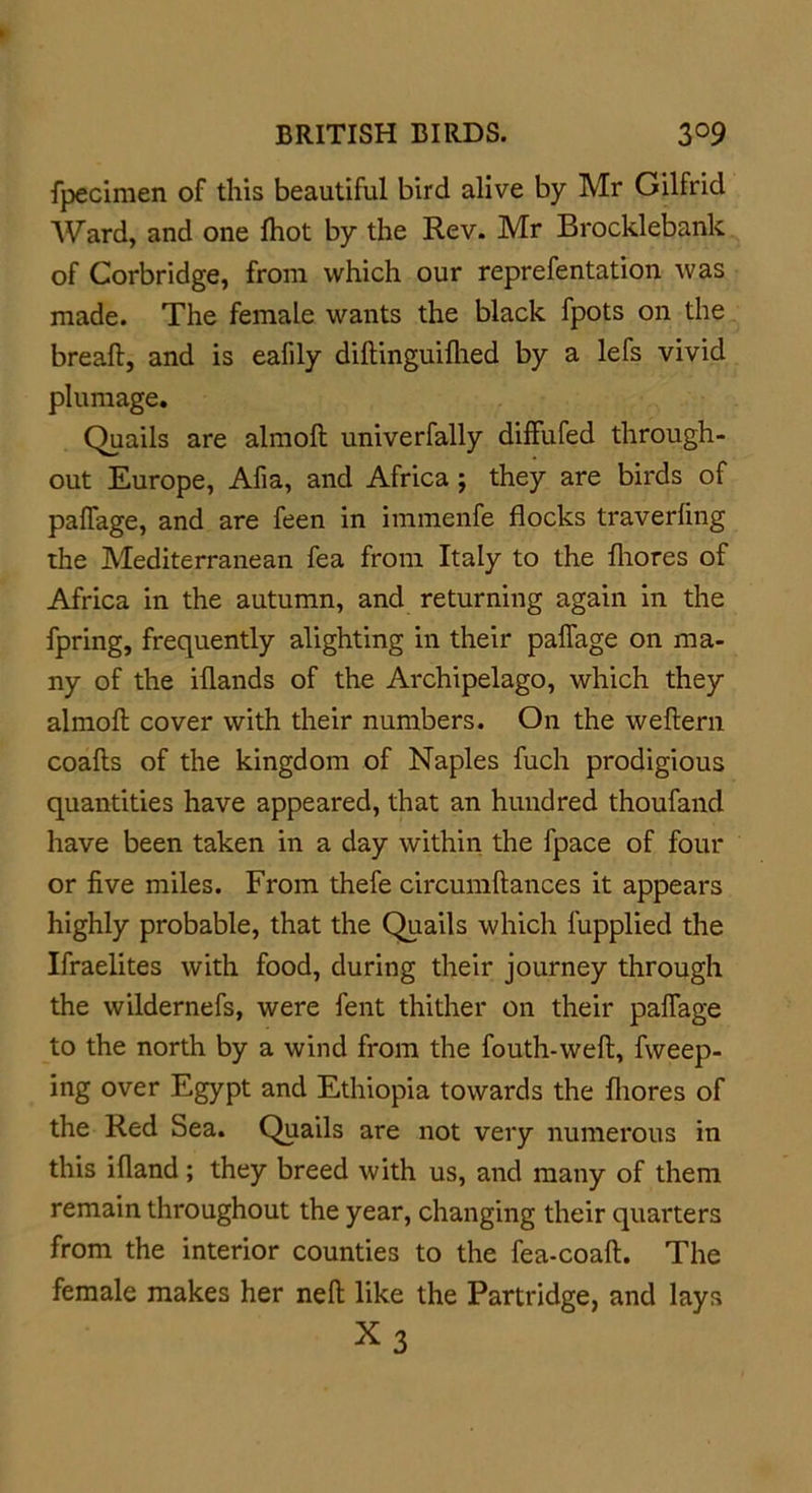 fpecimen of this beautiful bird alive by Mr Gilfrid Ward, and one fhot by the Rev. Mr Brocklebank of Corbridge, from which our reprefentation was made. The female wants the black fpots on the breaft, and is eafily diftinguifhed by a lefs vivid plumage. Quails are almoft univerfally diffufed through- out Europe, Afia, and Africa; they are birds of palfage, and are feen in immenfe flocks travelling the Mediterranean fea from Italy to the fhores of Africa in the autumn, and returning again in the fpring, frequently alighting in their palfage on ma- ny of the iflands of the Archipelago, which they almoft cover with their numbers. On the weftern coafts of the kingdom of Naples fuch prodigious quantities have appeared, that an hundred thoufand have been taken in a day within the fpace of four or five miles. From thefe circumftances it appears highly probable, that the Quails which lupplied the Ifraelites with food, during their journey through the wildernefs, were fent thither on their palfage to the north by a wind from the fouth-weft, fweep- ing over Egypt and Ethiopia towards the fhores of the Red Sea. Quails are not very numerous in this ifland; they breed with us, and many of them remain throughout the year, changing their quarters from the interior counties to the fea-coaft. The female makes her neft like the Partridge, and lays X3