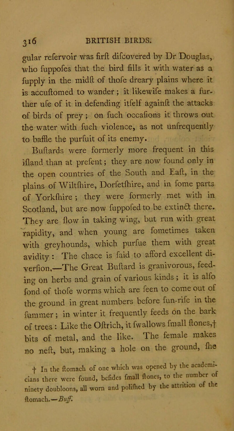 gular refervoir was firfl difcovered by Dr Douglas, who fuppofes that the bird fills it with water as a fupply in the midft of thofe dreary plains where it is accuflomed to wander; it likewife makes a fur- ther ufe of it in defending itfelf againft the attacks of birds of prey; on fuch occafions it throws out the water with fuch violence, as not unfrequently to baffle the purfuit of its enemy. Buflards were formerly more frequent in this ifland than at prefent; they are now found only in the open countries of the South and Eaft, in the plains of Wiltfhire, Dorfetfhire, and in fome parts of Yorkfhire ; they were formerly met with in Scotland, but are now fuppofed to be extind there. They are flow in taking wing, but run with great rapidity, and when young are fometimes taken with greyhounds, which purfue them with great avidity: The chace is faid to afford excellent di- verfion.—The Great Bullard is granivorous, feed- ing on herbs and grain of various kinds ; it is alio fond of thofe worms which are feen to come out of the ground in great numbers before fun-rife in the fummer; in winter it frequently feeds on the baik of trees : Like the Oftrich, it fw allows fmall Hones,-f- bits of metal, and the like. 1 he female makes no nefl, but, making a hole on the ground, fhe f In the flomach of one which was opened by the academi- cians there were found, befidcs fmall floncs, to the number o ninety doubloons, all worn and policed by tbe attrition of the flomach.—Buff.