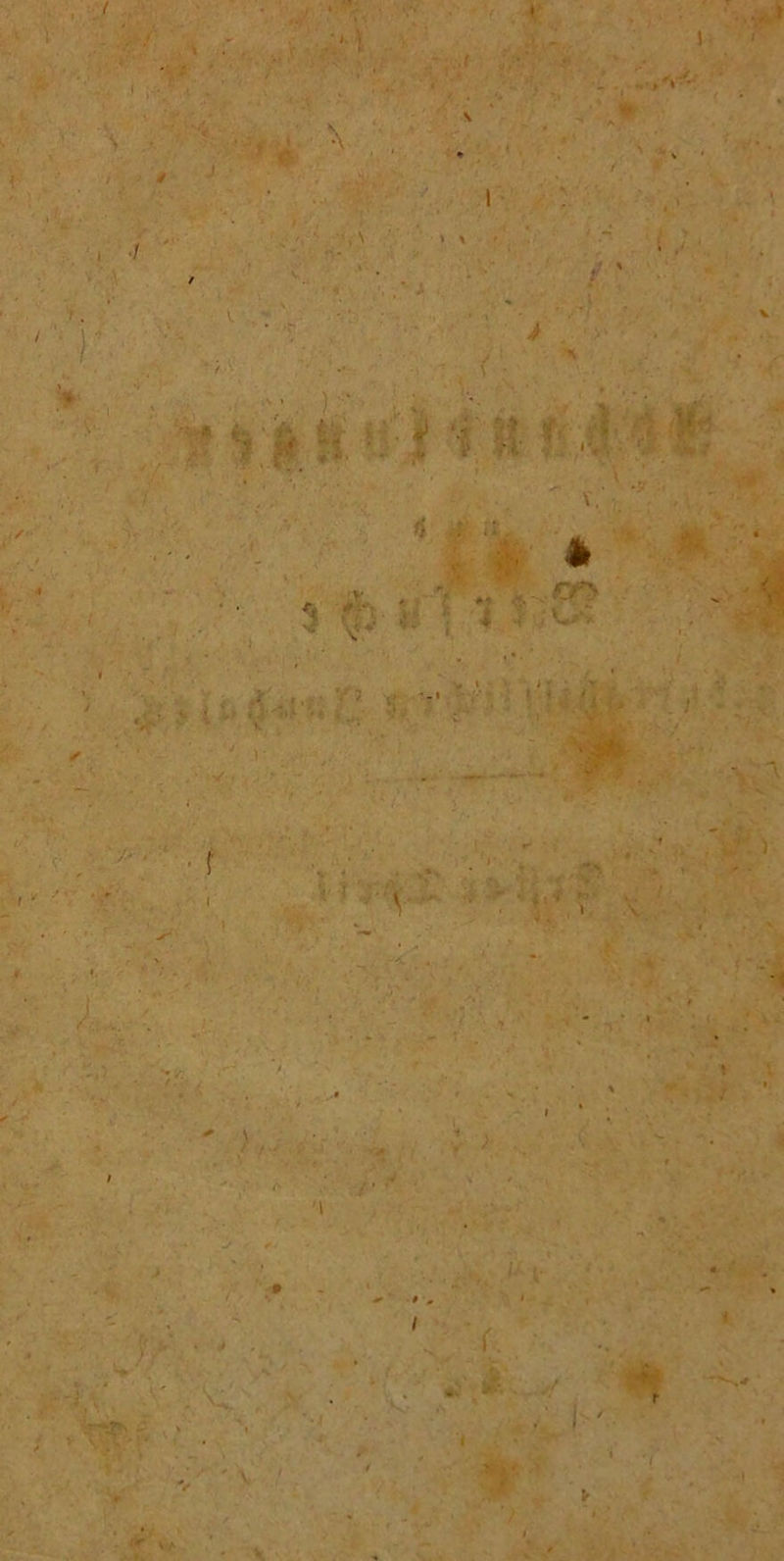 • < ■> t :fc ■ r ■ i'f •' Jv- *. . i •. ■':,,r ■ r> ■ - . •• > » * ' . < o,* -\ I U, 4 # a. X. * CTy vy *' 1 *i - V? * ' # tf W j f >< • * V ■ *; f ■ t ' l! -r*. . > • , £•• . _■ V ' V . . ■ ' - . ■ • f .w \ - f ' S *• . . V. • *. « ' • n I», 1 Y A-: < . • ■* , ' J ,* /•• • ■ ’ v ‘ vT* ■ ■ '• '1 i ■ ' » , I • «• r. -j'-Ä r ' \ 7
