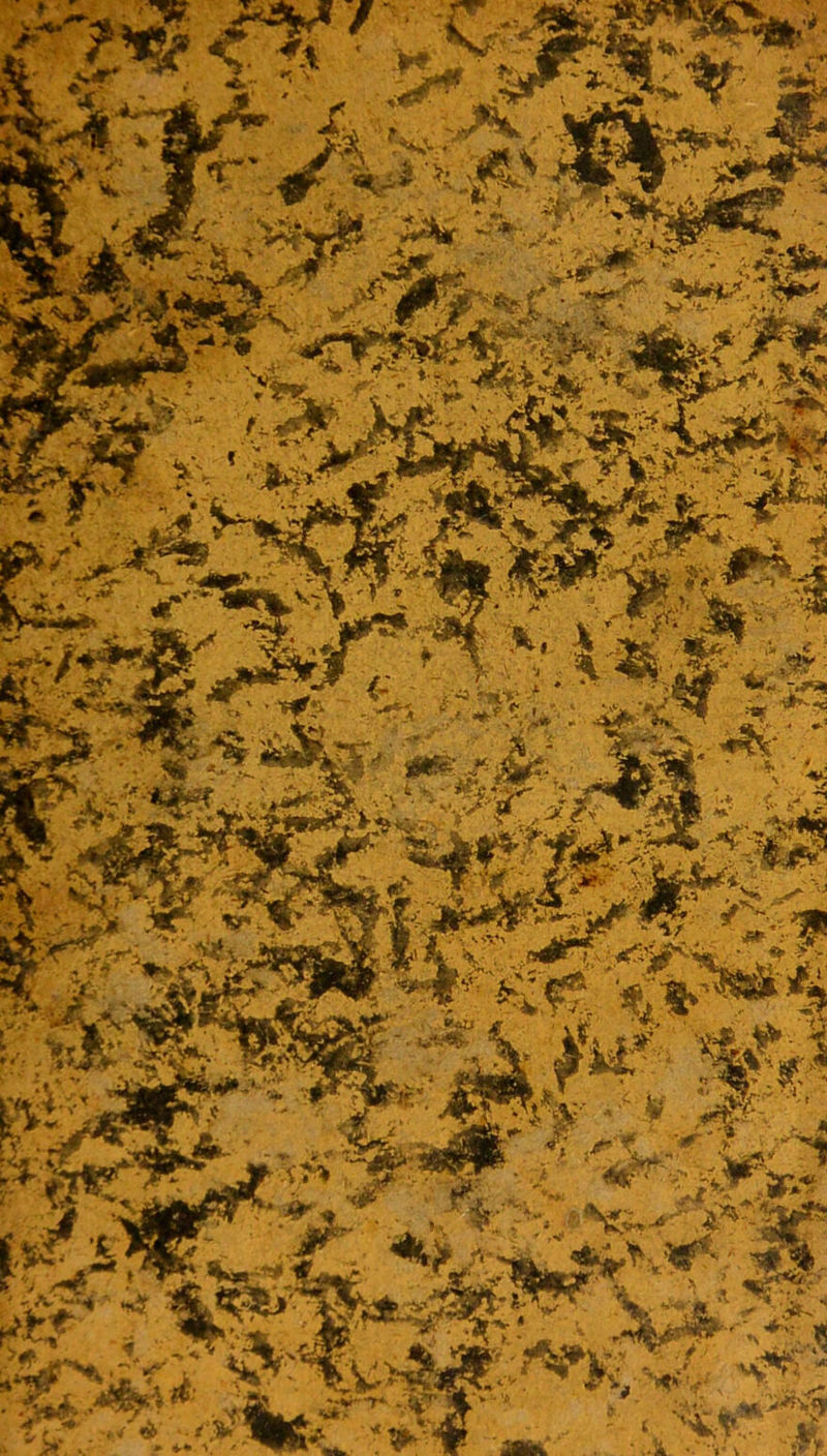 v C_. . «h 2* %- * *«•