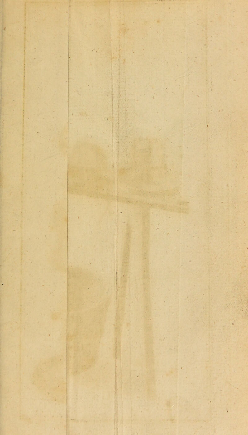 . n -i ■ • - 1 'm i* ■ - t