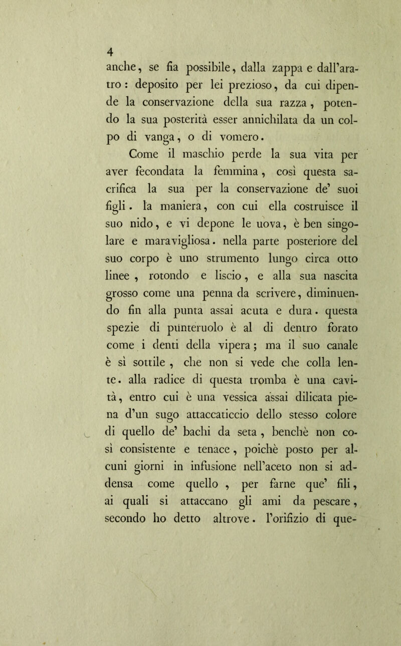 anche, se fia possibile, dalla zappa e dall’ara- tro : deposito per lei prezioso, da cui dipen- de la conservazione della sua razza, poten- do la sua posterità esser annichilata da un col- po di vanga, o di vomero. Come il maschio perde la sua vita per aver fecondata la femmina, così questa sa- crifica la sua per la conservazione de’ suoi figli. la maniera, con cui ella costruisce il suo nido, e vi depone le uova, è ben singo- lare e maravigliosa. nella parte posteriore del suo corpo è uno strumento lungo circa otto linee , rotondo e liscio, e alla sua nascita grosso come una penna da scrivere, diminuen- do fin alla punta assai acuta e dura, questa spezie di punteruolo è al di dentro forato come i denti della vipera ; ma il suo canale è sì sottile , che non si vede che colla len- te. alla radice di questa tromba è una cavi- tà, entro cui è una vessica assai dilicata pie- na d’un sugo attaccaticcio dello stesso colore di quello de’ bachi da seta , benché non co- sì consistente e tenace, poiché posto per al- cuni giorni in infusione nell’aceto non si ad- densa come quello , per farne que’ fili, ai quali si attaccano gli ami da pescare, secondo ho detto altrove. l’orifizio di que-