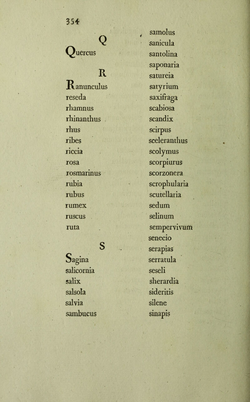 Q 4 samolus sanícula Quercus santolina R saponaria satureia Ranunculus satyrium reseda saxífraga rhamnus scabiosa rhinanthus scandix rhus scirpus ribes sceleranthus riccia scolymus rosa scorpiurus rosmarinus scorzonera rubia scrophularia rubus scutellaria rumex sedum ruscus selinum ruta semperyivum s senecio serapias pagina serratula salicornia seseli salix sherardia salsola sideritis salvia silene sambucus sinapis
