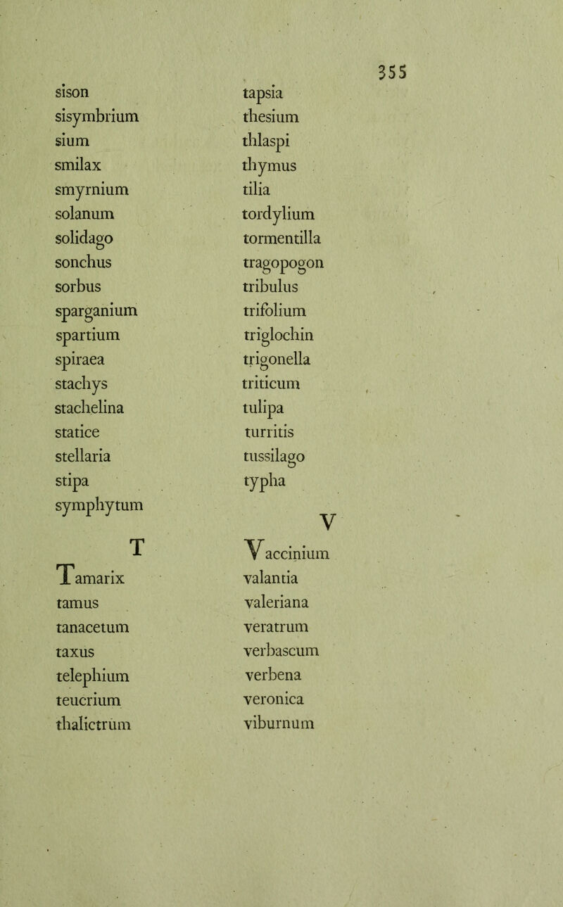 sisón sisymbrium sium smilax smyrnium solanum solidago sonchus sorbus sparganium spartium spiraea stachys stachelina statice stellaria stipa symphytum T Tamarix tamus tanacetum taxus telephium teucrium tlialictrum tapsia tbesium thlaspi thymus tilia tordylium tormentilla tragopogón tribulus trifolium triglochin trigonella triticum tulipa turritis tussilago typha V accinium valantia valeriana veratrum verbascum verbena veronica viburniim